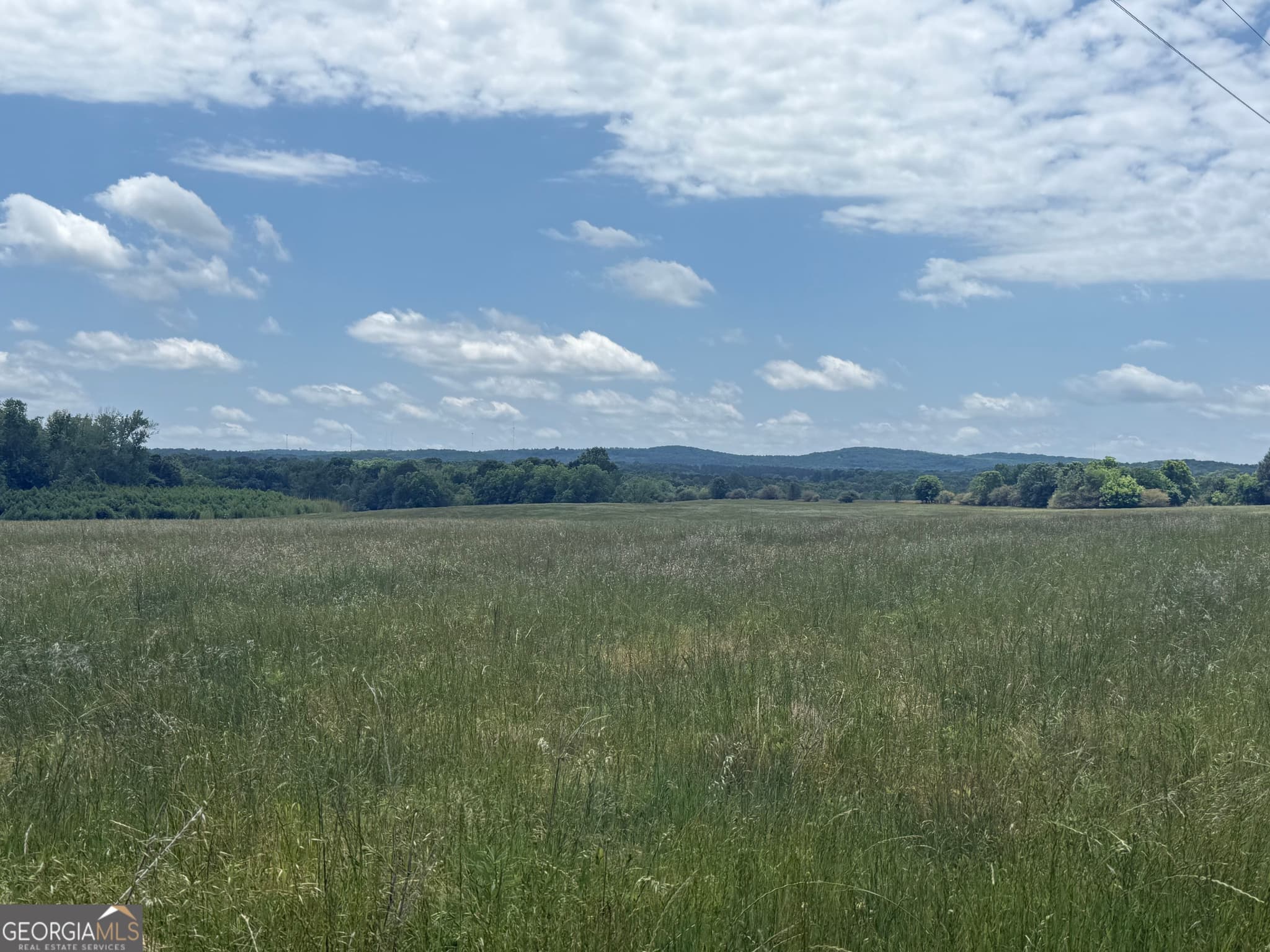 unimproved land for sale at 35 AC Hwy 109, Zebulon, GA 30295 — photo 2