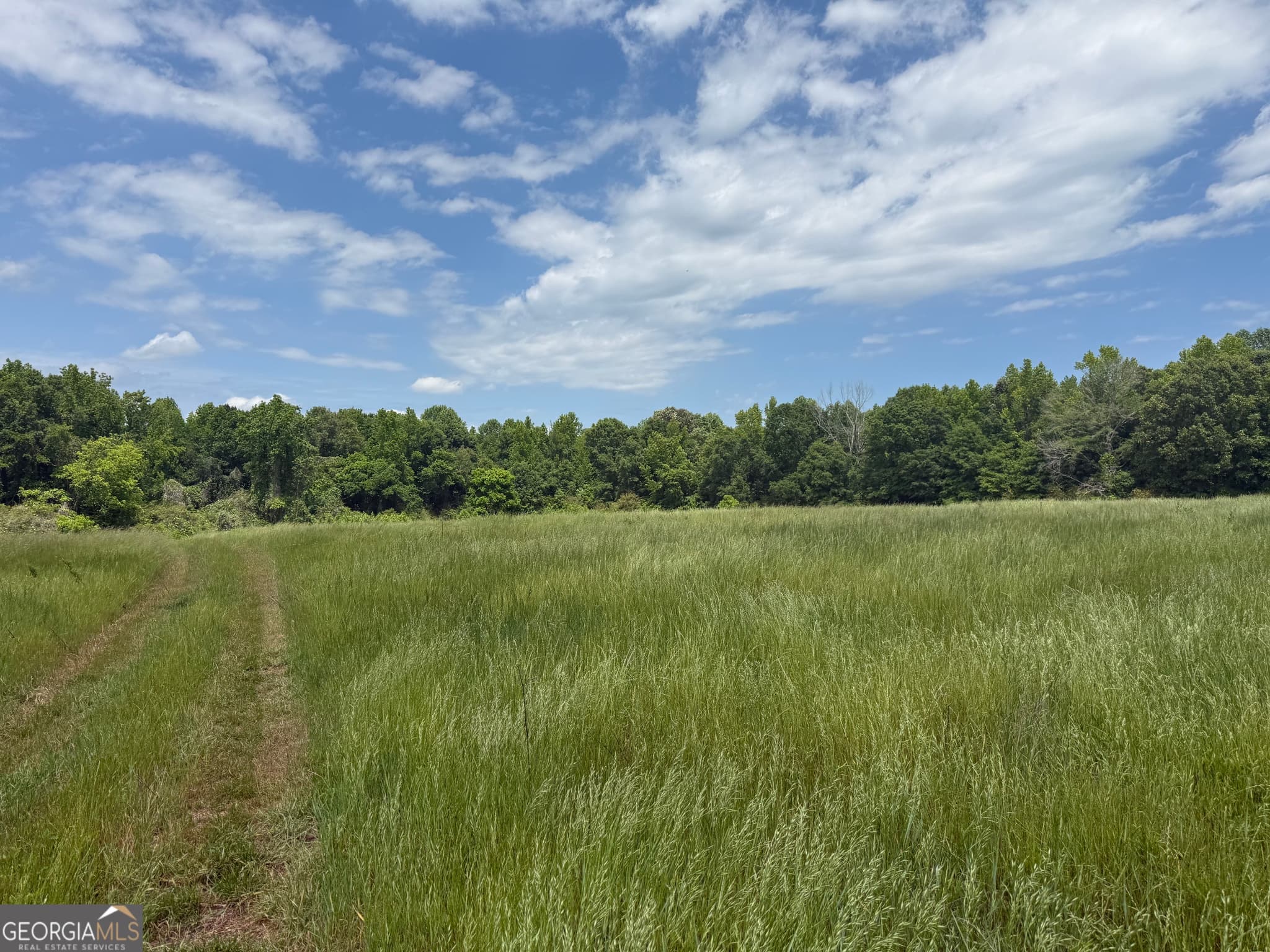 unimproved land for sale at 35 AC Hwy 109, Zebulon, GA 30295 — photo 6