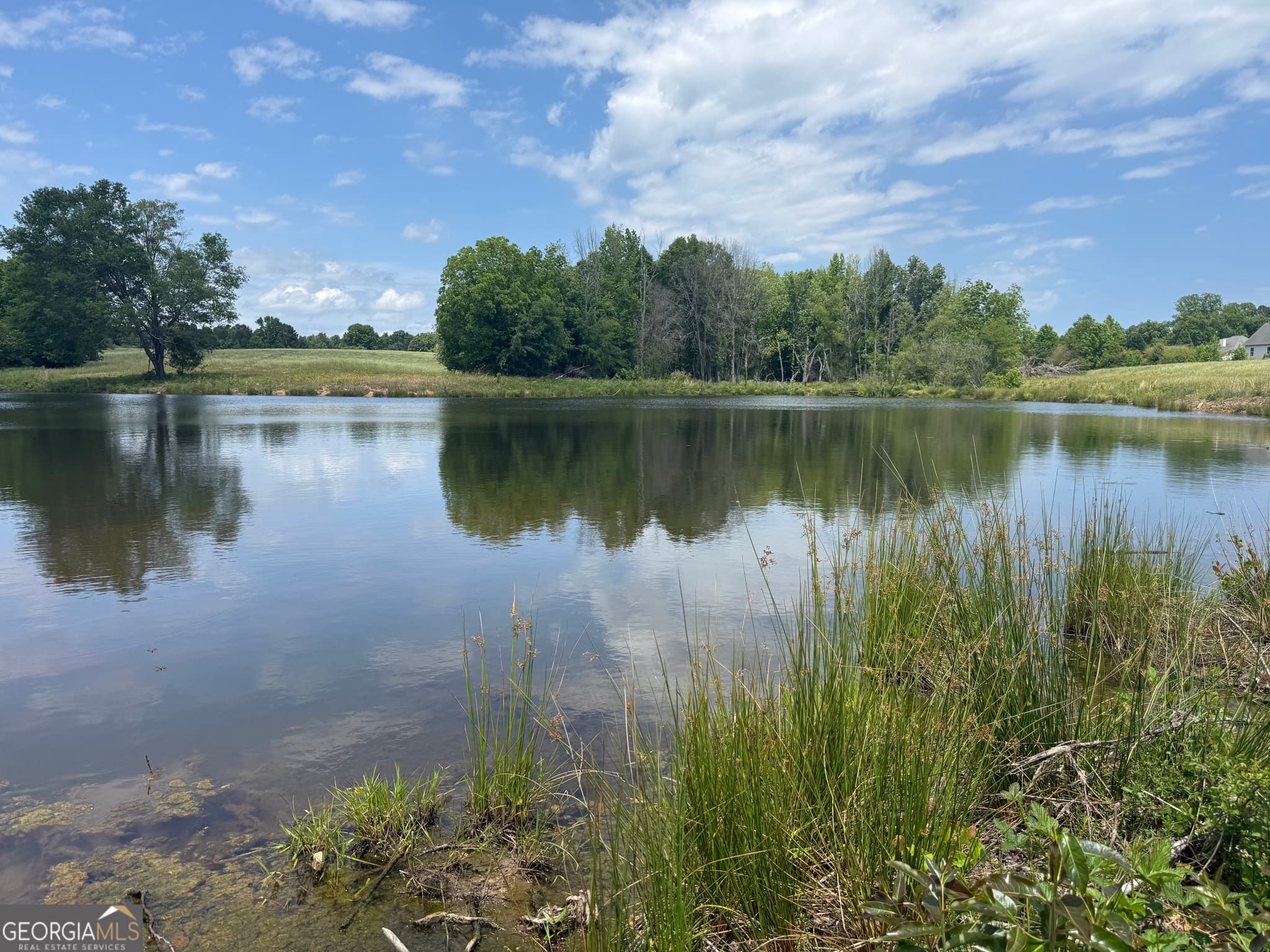 unimproved land for sale at 35 AC Hwy 109, Zebulon, GA 30295 — photo 3