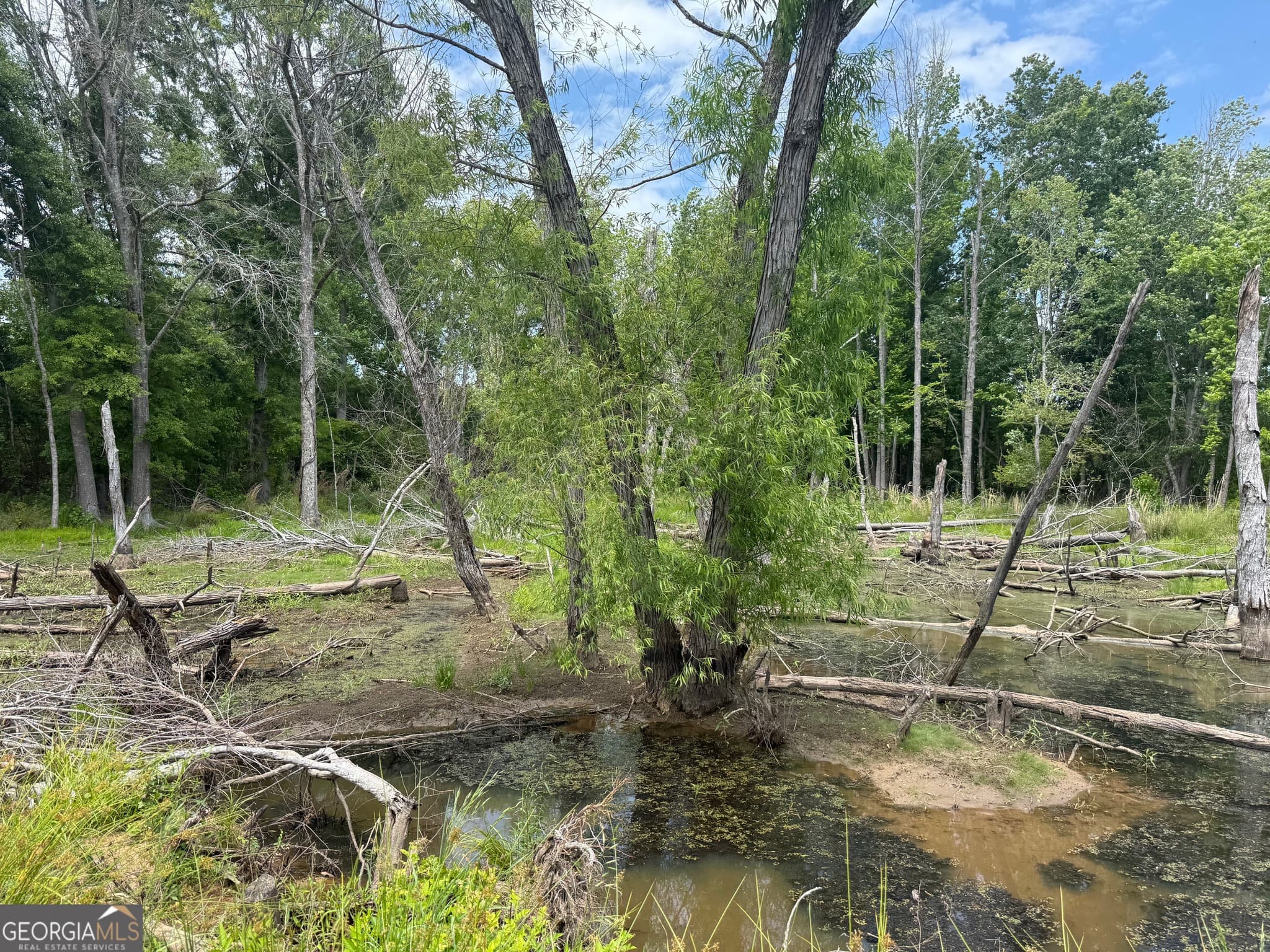 unimproved land for sale at 35 AC Hwy 109, Zebulon, GA 30295 — photo 5