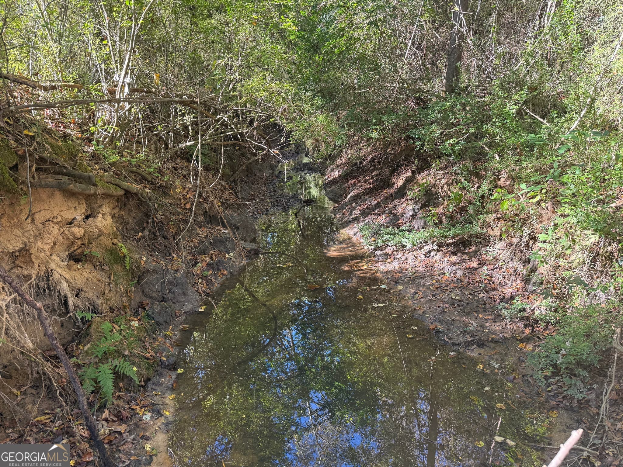 unimproved land for sale at 35 AC Hwy 109, Zebulon, GA 30295 — photo 10