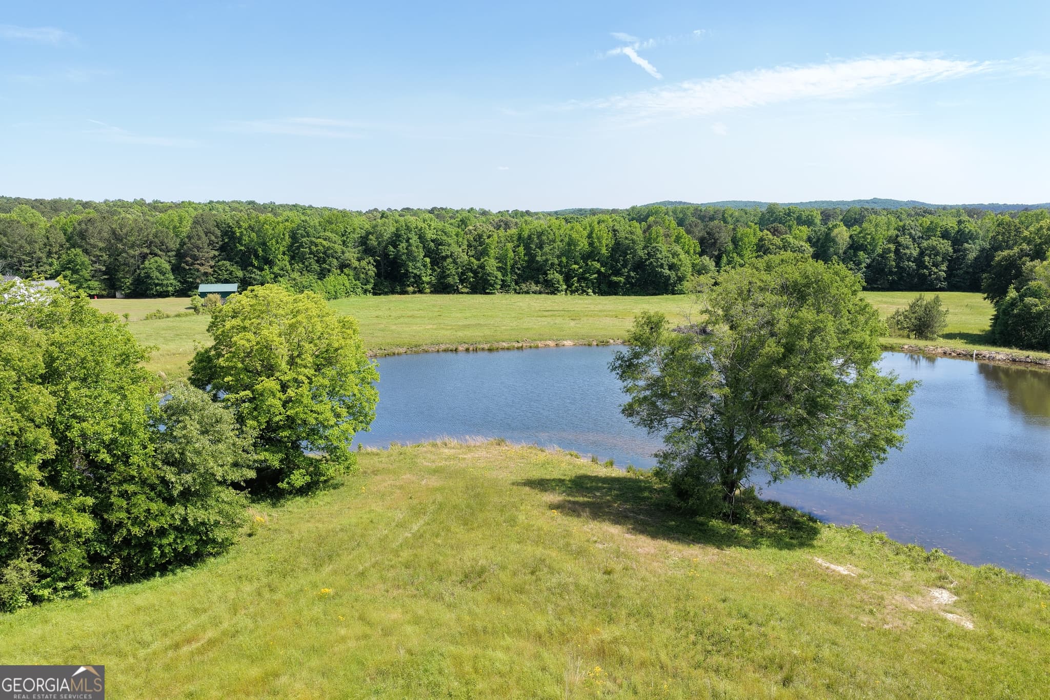 unimproved land for sale at 35 AC Hwy 109, Zebulon, GA 30295 — photo 4