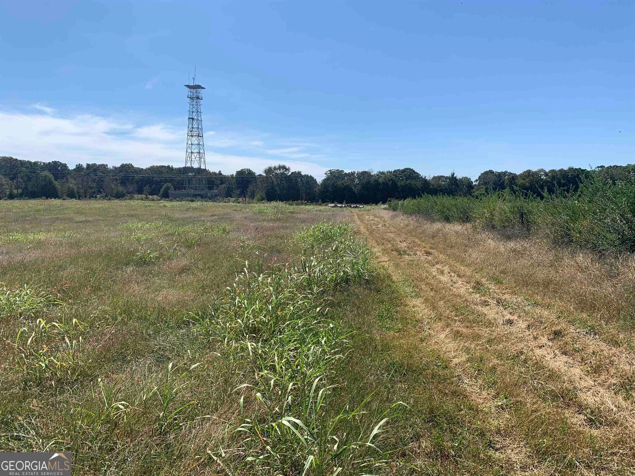 agriculture sold at 110 Womack Road, Portal, GA 30450