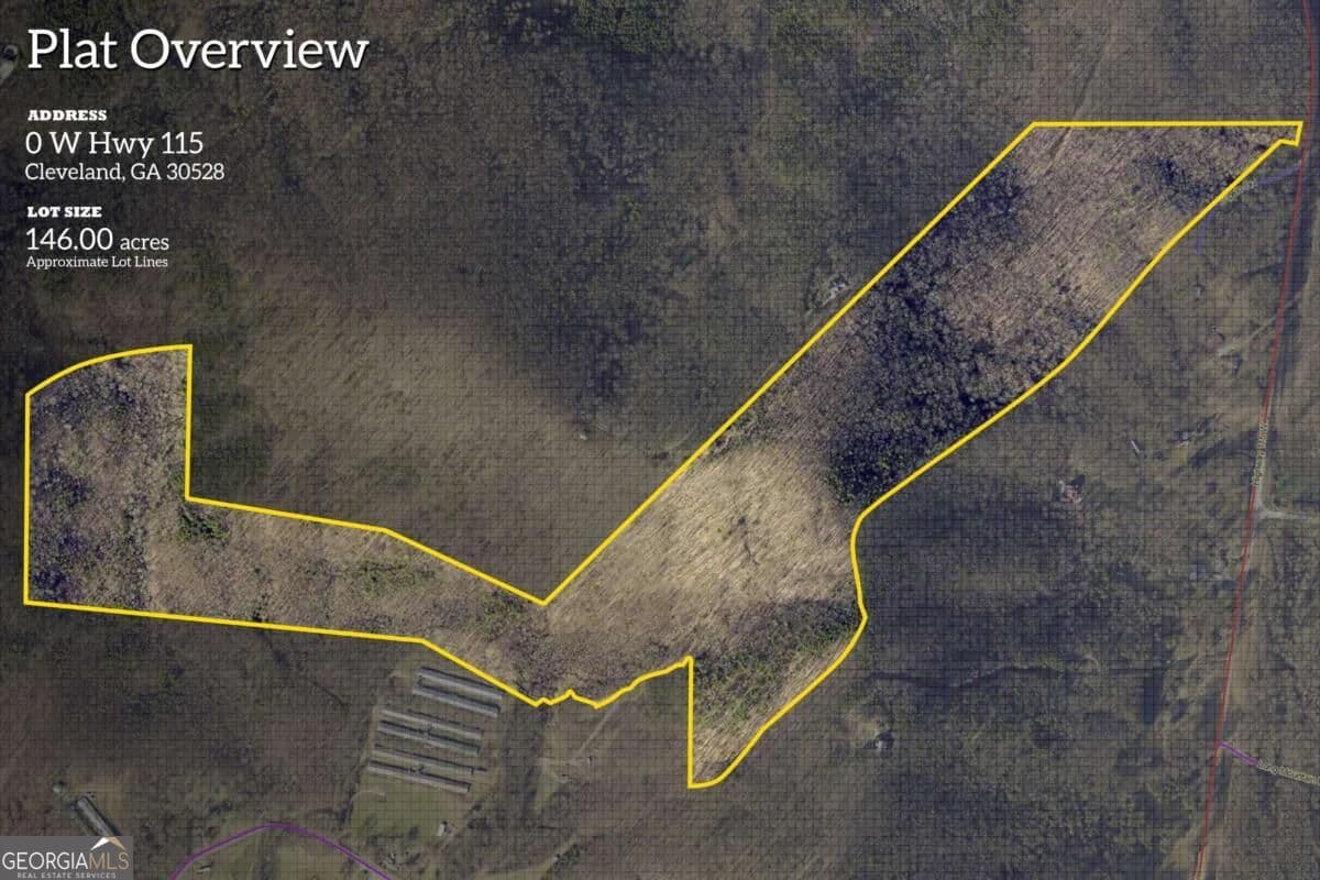 unimproved land for sale at 0 Hwy 115, Cleveland, GA 30528 — photo 2