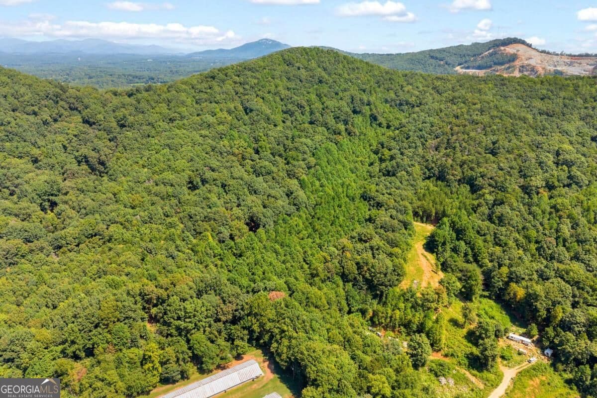 unimproved land for sale at 0 Hwy 115, Cleveland, GA 30528 — photo 6