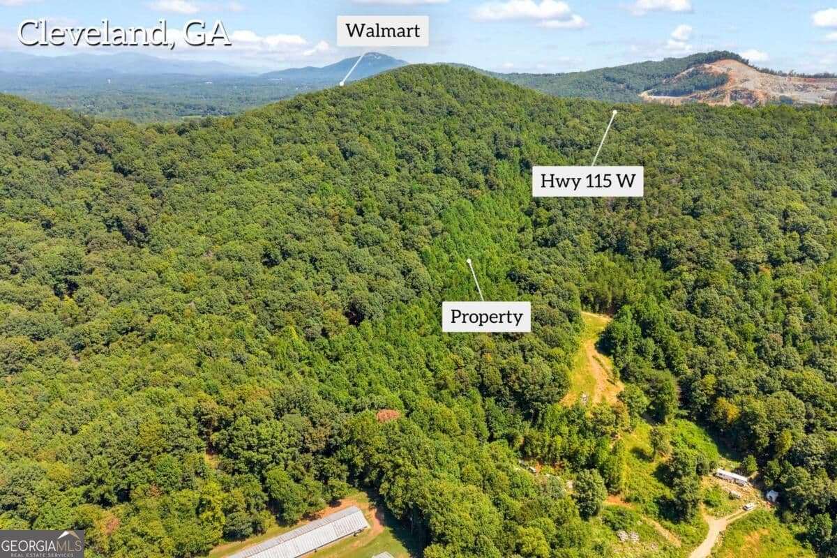 unimproved land for sale at 0 Hwy 115, Cleveland, GA 30528 — photo 7