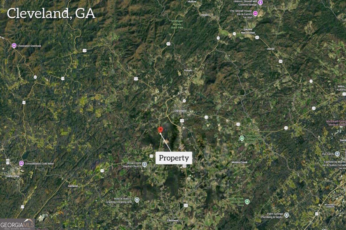 unimproved land for sale at 0 Hwy 115, Cleveland, GA 30528 — photo 3
