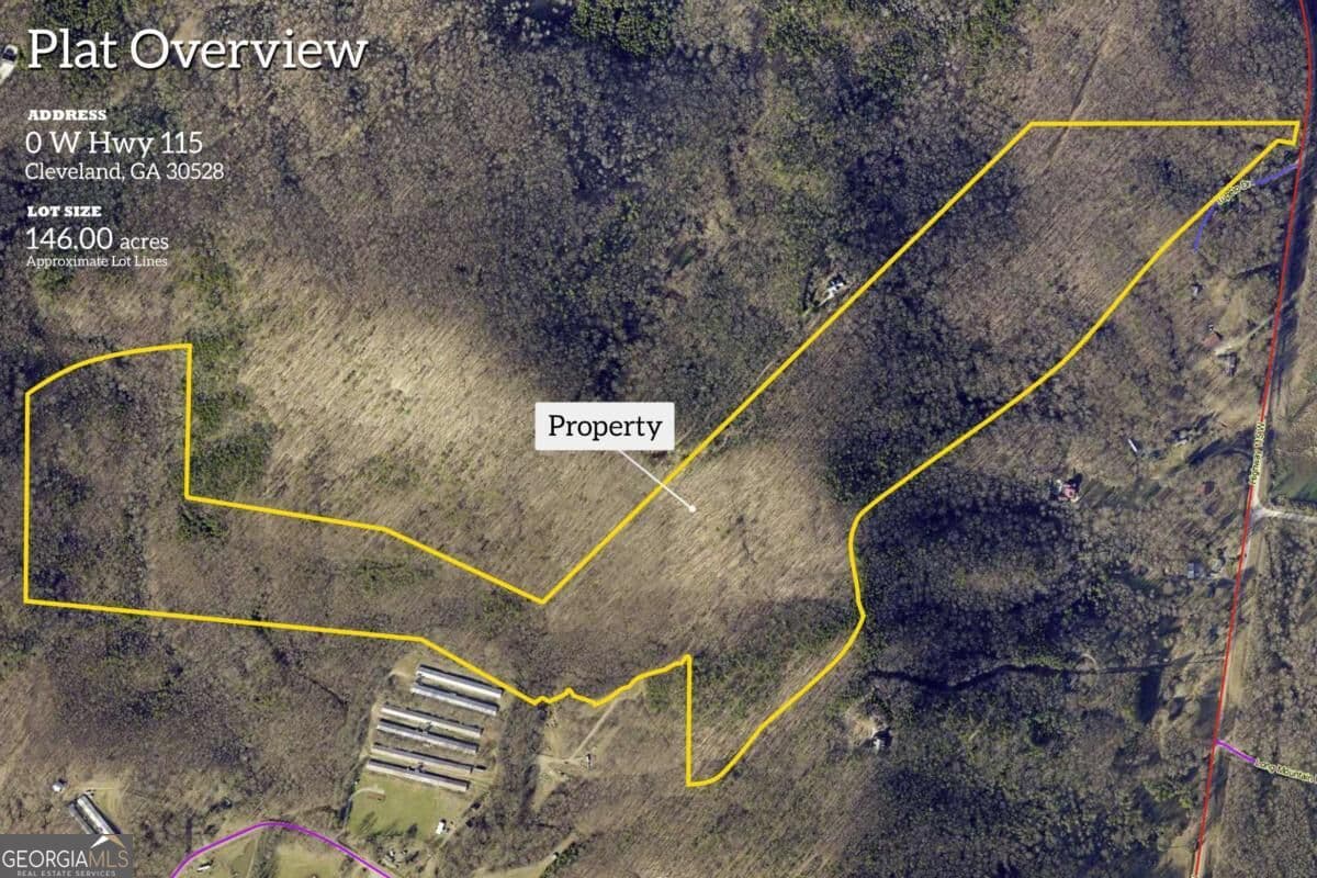 unimproved land for sale at 0 Hwy 115, Cleveland, GA 30528 — photo 1 of 29