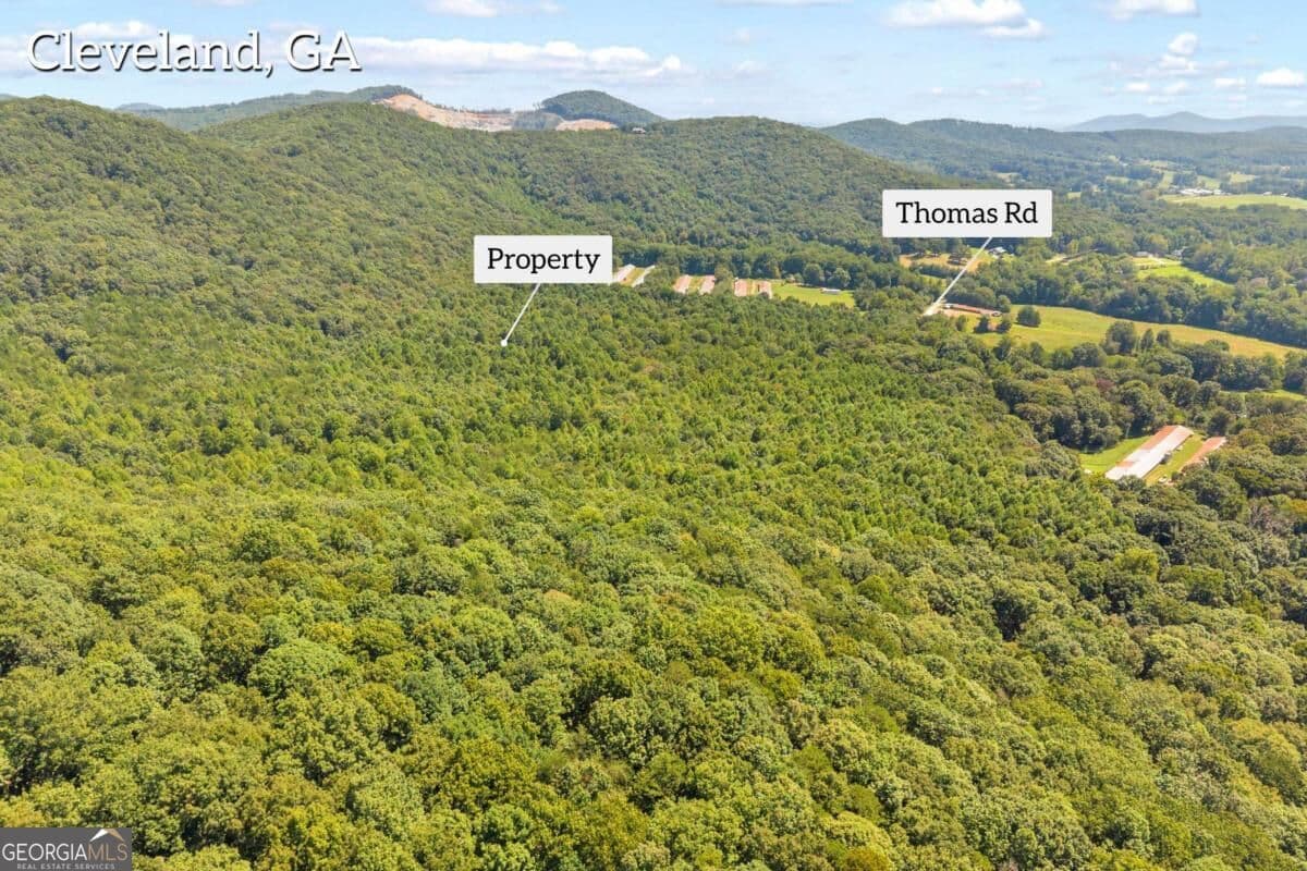 unimproved land for sale at 0 Hwy 115, Cleveland, GA 30528 — photo 5