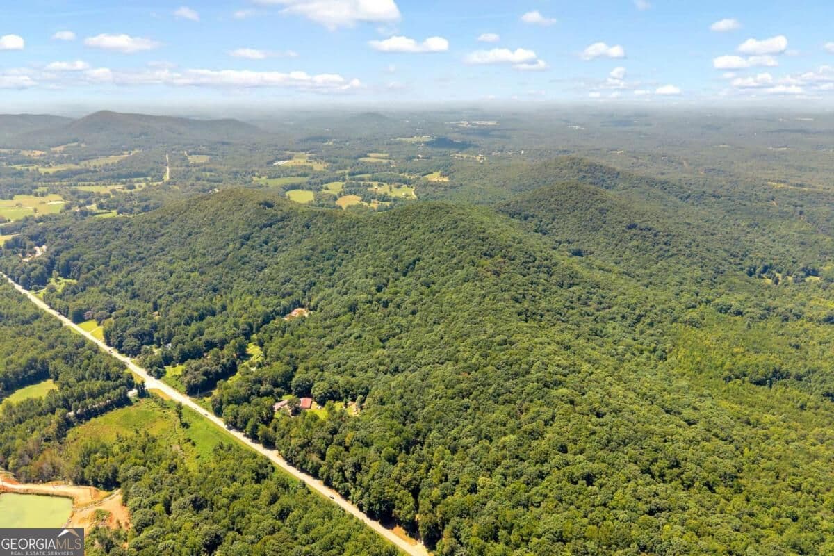unimproved land for sale at 0 Hwy 115, Cleveland, GA 30528 — photo 9