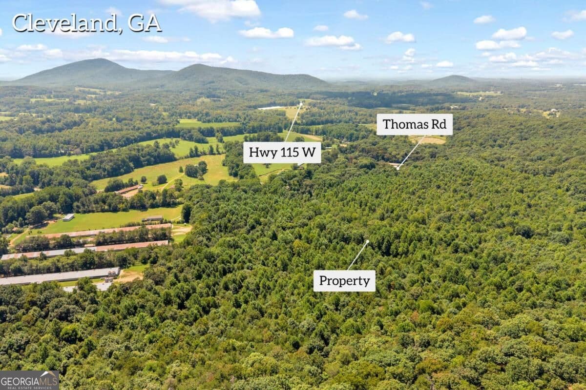 unimproved land for sale at 0 Hwy 115, Cleveland, GA 30528 — photo 10
