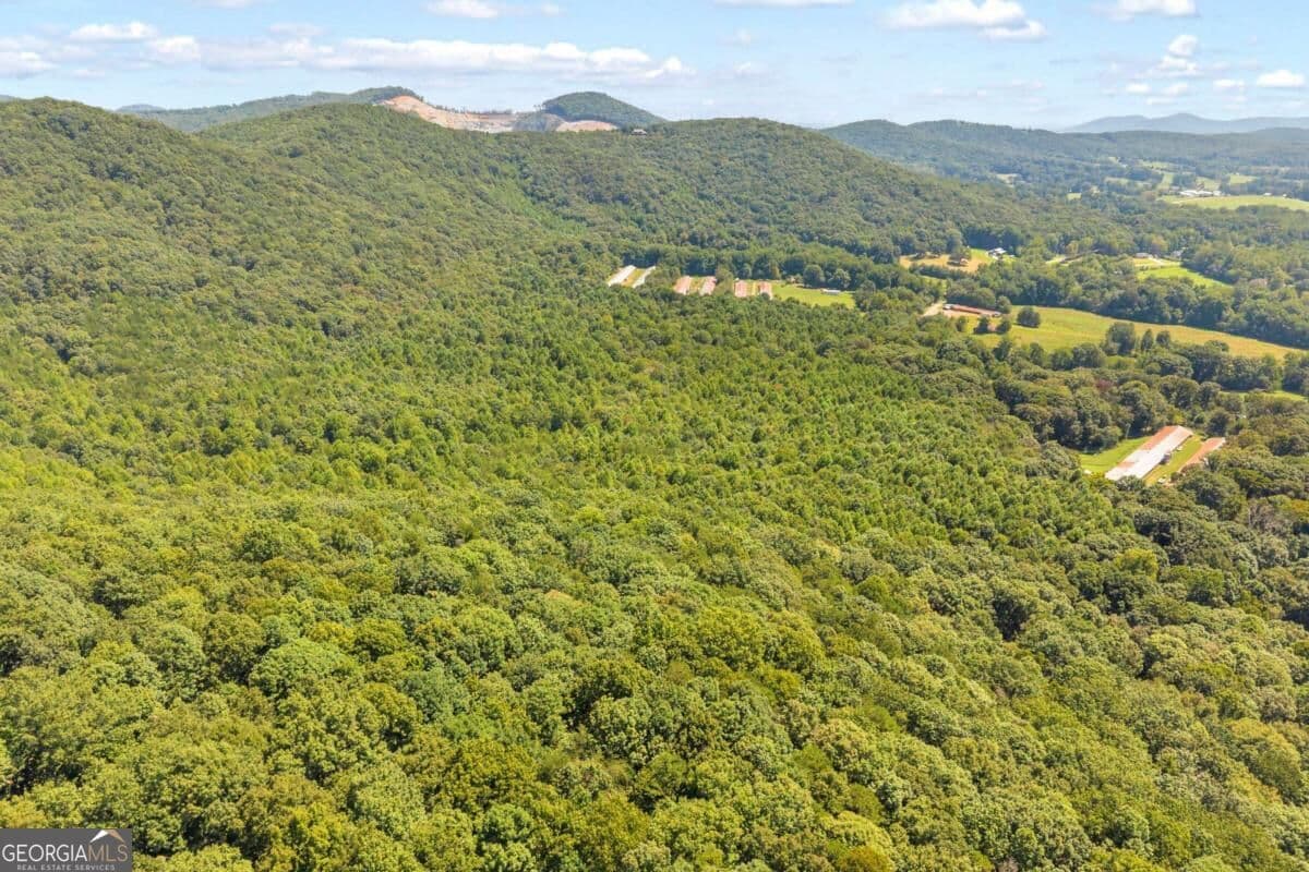 unimproved land for sale at 0 Hwy 115, Cleveland, GA 30528 — photo 4
