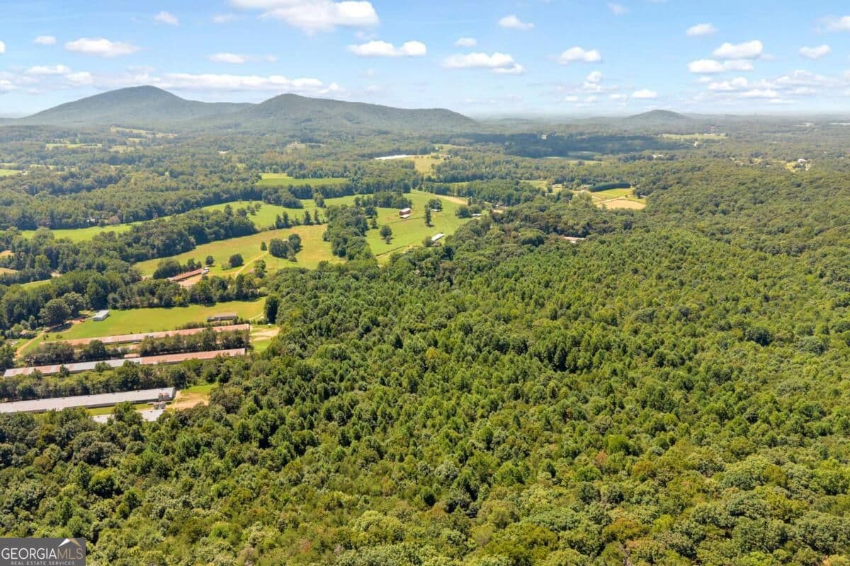 unimproved land for sale at 0 Hwy 115, Cleveland, GA 30528 — photo 8