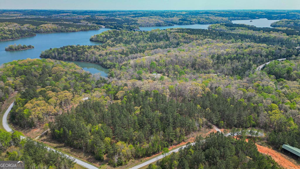 residential lot for sale at 0 Long Pine Lane, Elberton, GA 30635 — photo 2