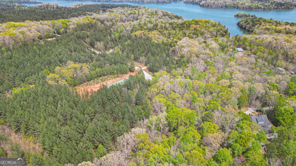 residential lot for sale at 0 Long Pine Lane, Elberton, GA 30635 — photo 9