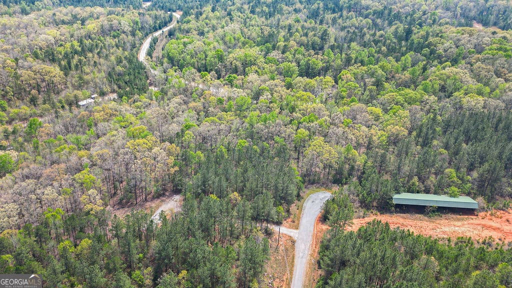 residential lot for sale at 0 Long Pine Lane, Elberton, GA 30635 — photo 8