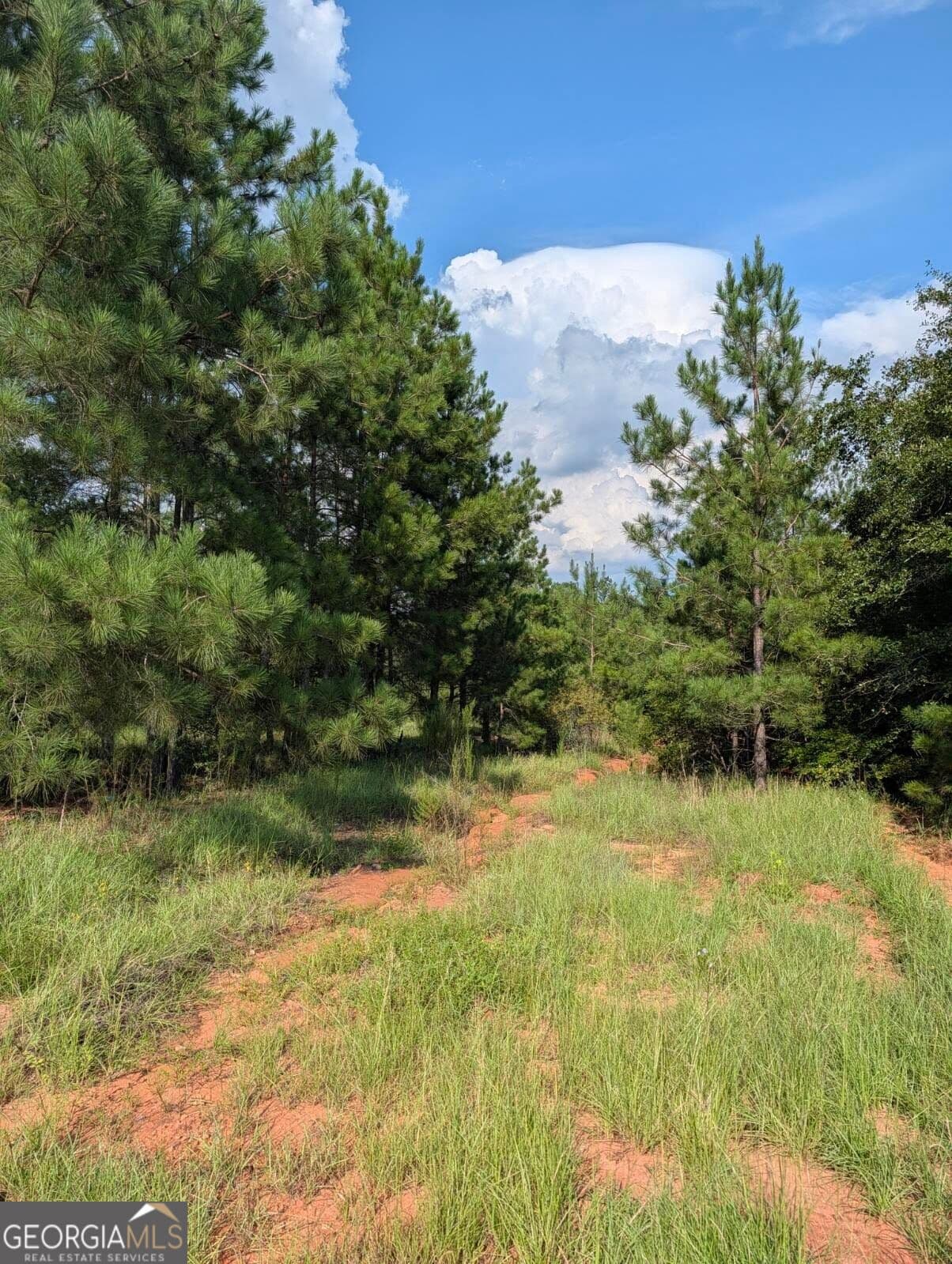 residential lot for sale at 0 Nelson Lane, Louisville, GA 30434