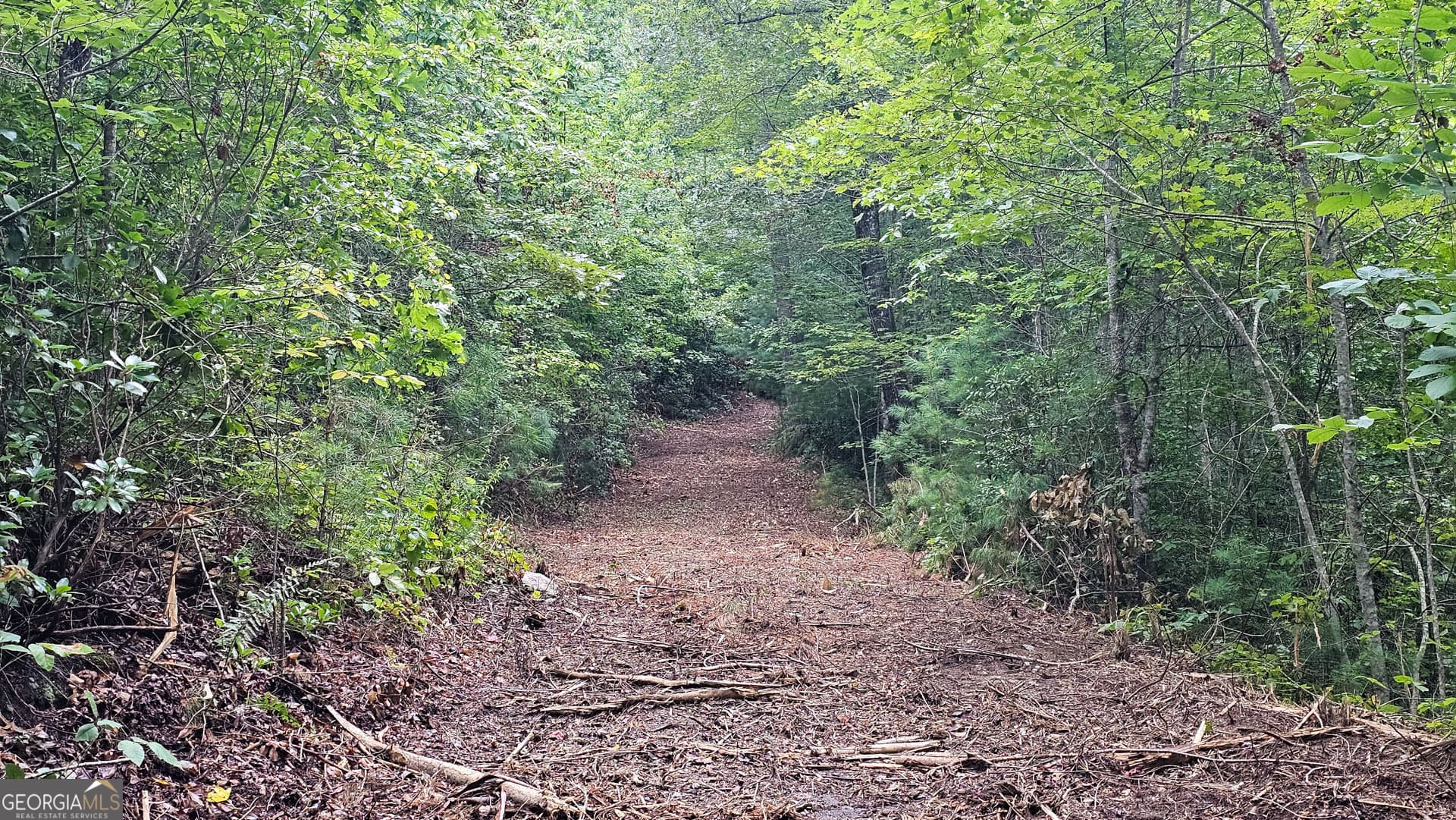 unimproved land for sale at 0 Hwy 28, Clayton, GA 30525 — photo 6