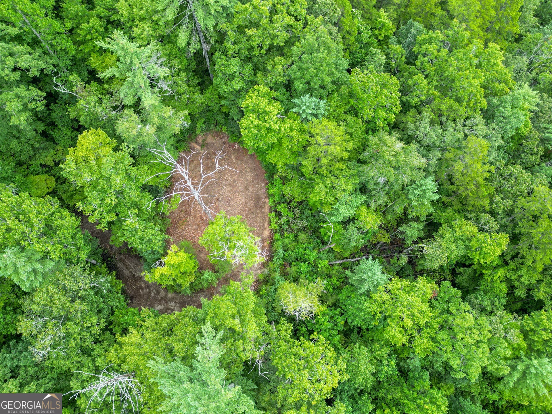 unimproved land for sale at 0 Hwy 28, Clayton, GA 30525 — photo 7