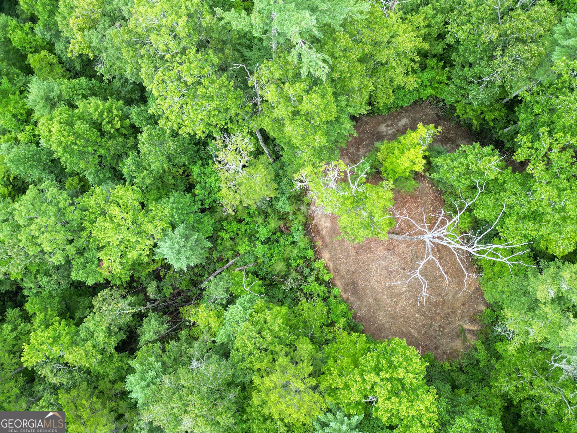 unimproved land for sale at 0 Hwy 28, Clayton, GA 30525 — photo 3