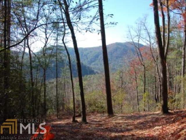unimproved land for sale at 0 Hwy 28, Clayton, GA 30525 — photo 1 of 18