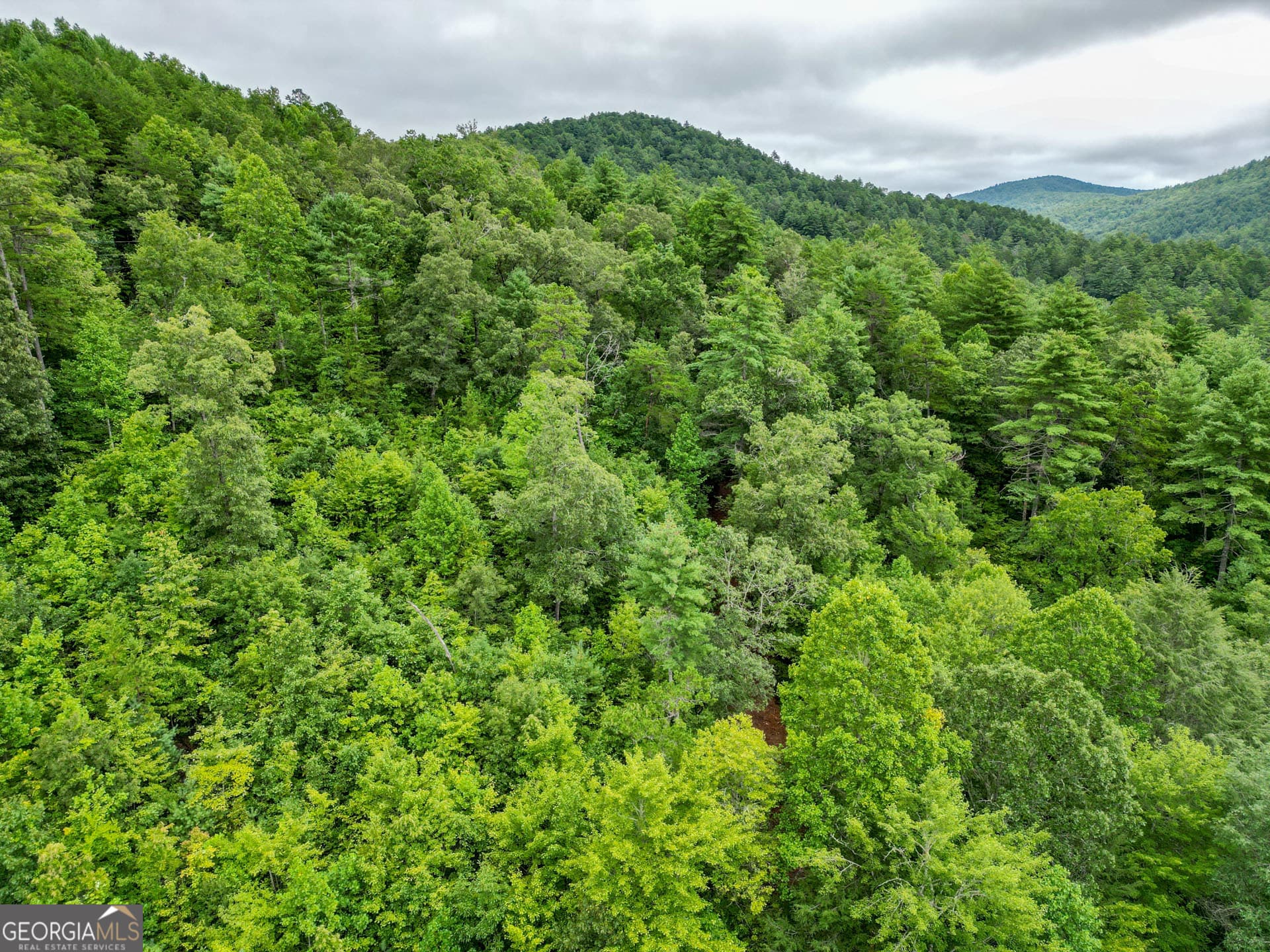 unimproved land for sale at 0 Hwy 28, Clayton, GA 30525 — photo 5