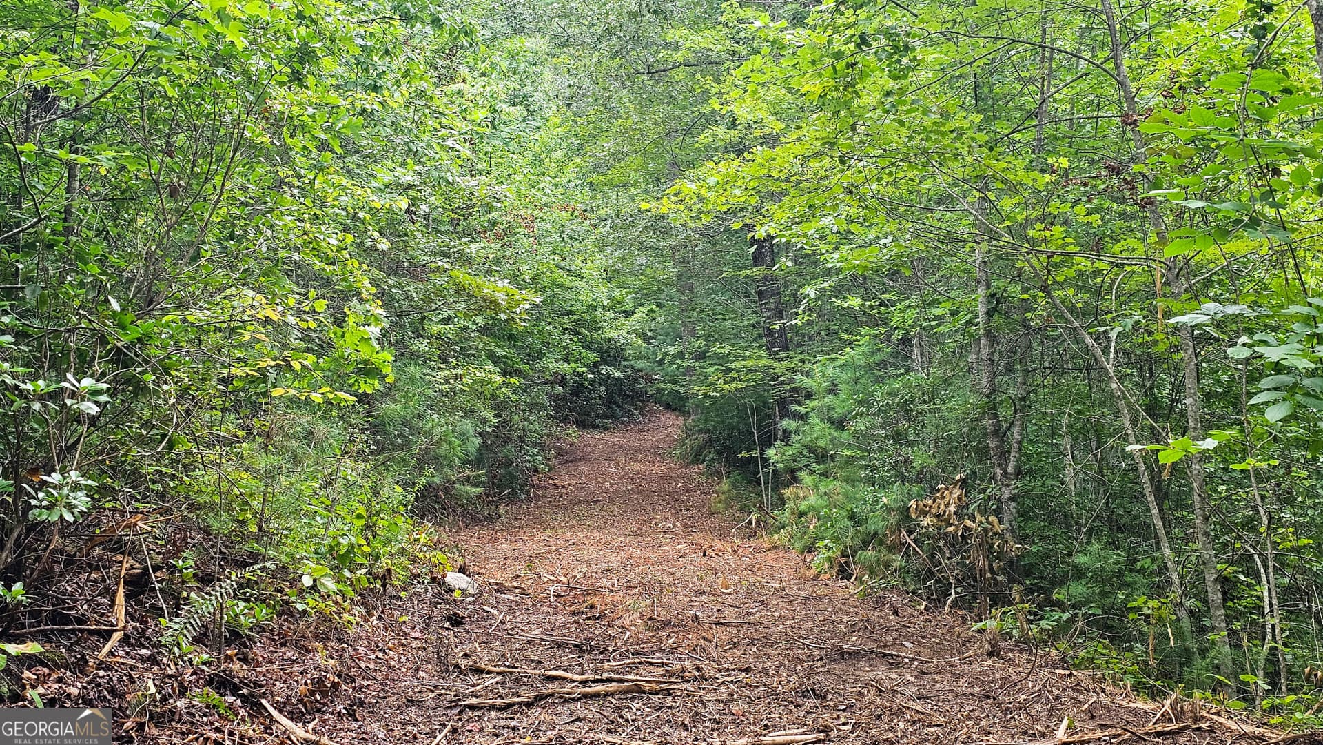 unimproved land for sale at 0 Hwy 28, Clayton, GA 30525 — photo 9