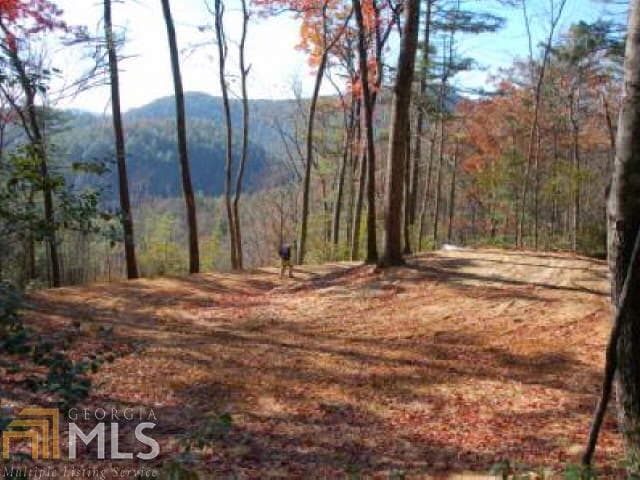 unimproved land for sale at 0 Hwy 28, Clayton, GA 30525 — photo 10