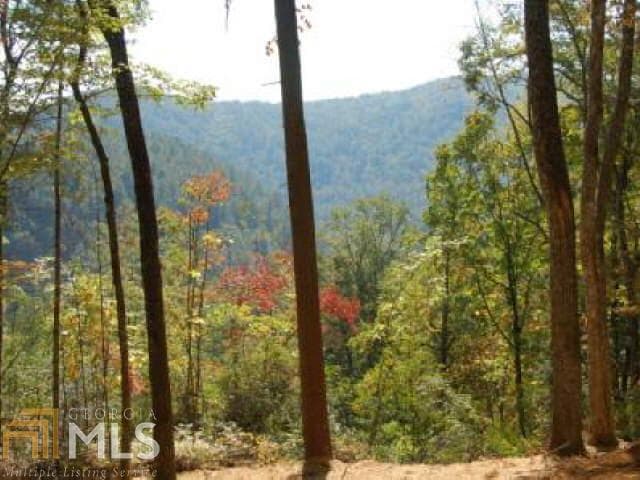 unimproved land for sale at 0 Hwy 28, Clayton, GA 30525 — photo 8