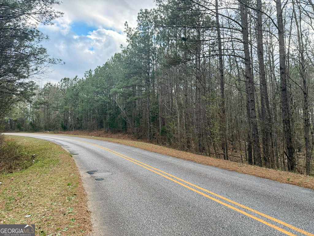 agriculture for sale at 0 Shallow Creek Road, Elberton, GA 30635 — photo 2