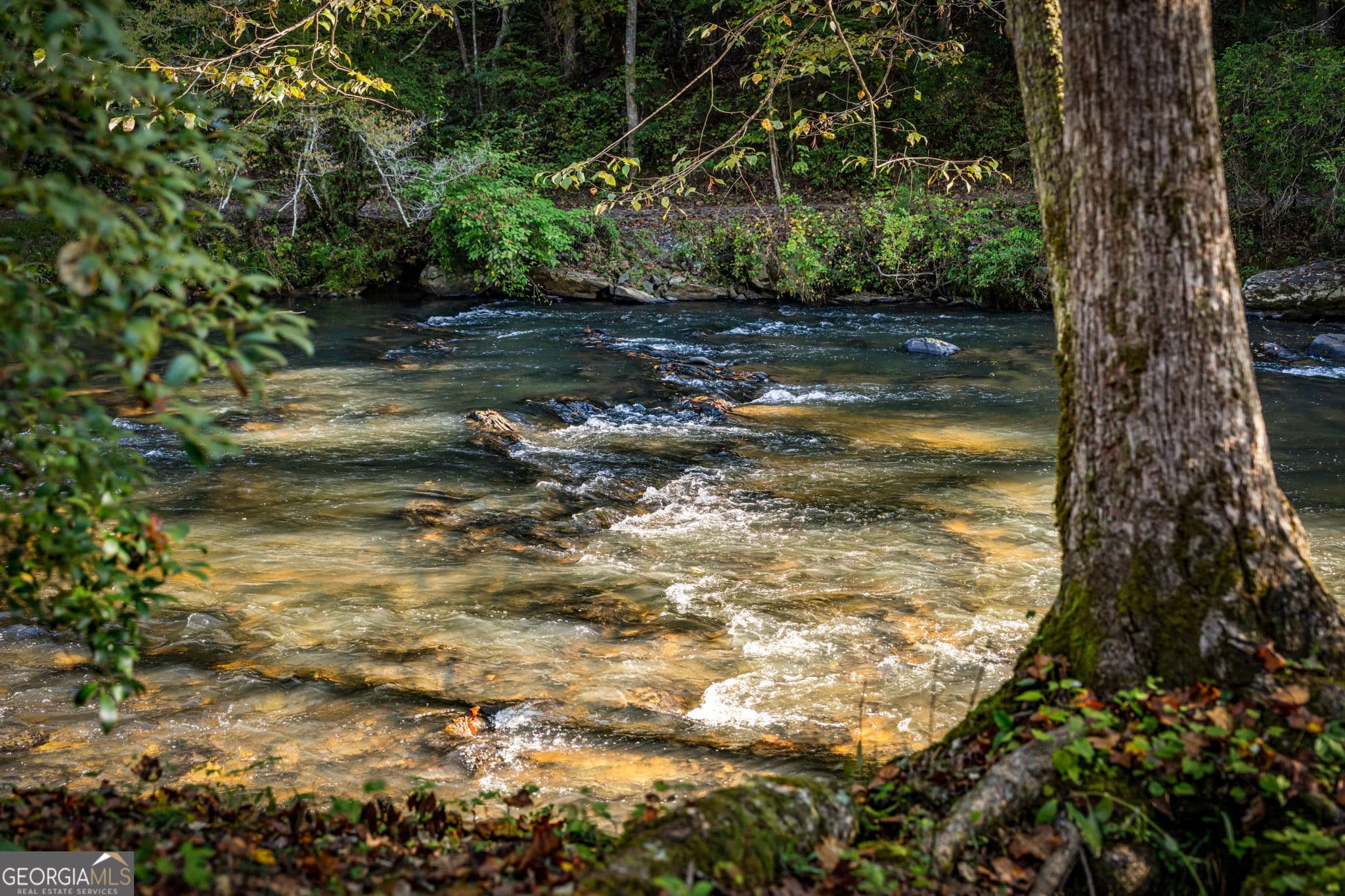 4 bedroom, 4 bathroom, 3,700 sq ft cabin,single family residence for sale at LOT 7 Fish Tale Cove, Ellijay, GA 30540 — photo 4