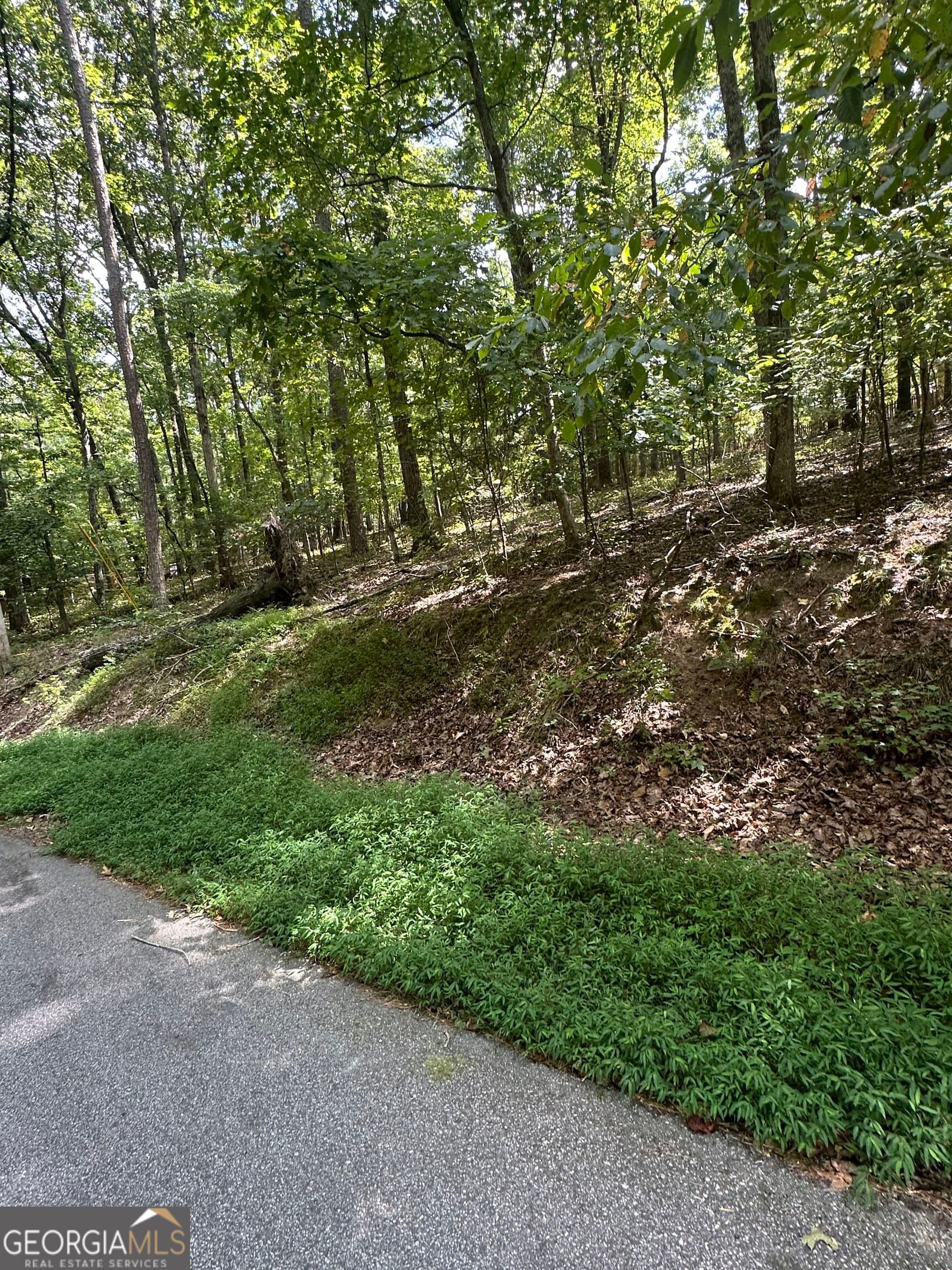 residential lot for sale at 6034 Belle Meade Court, Villa Rica, GA 30180 — photo 6