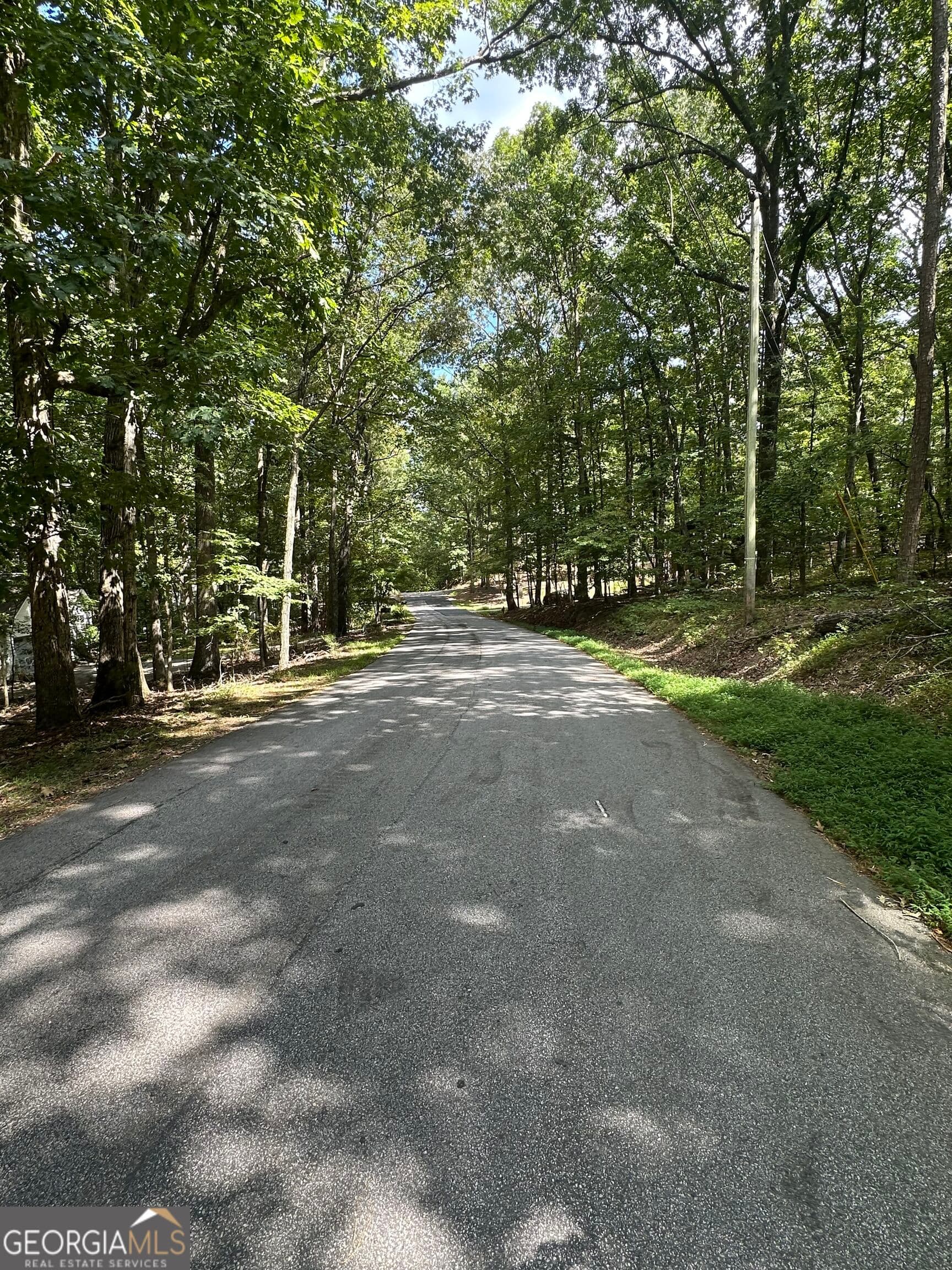 residential lot for sale at 6034 Belle Meade Court, Villa Rica, GA 30180 — photo 7