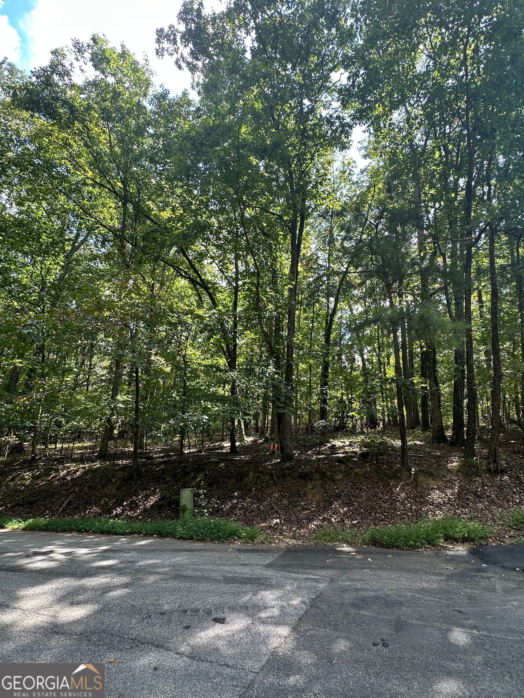 residential lot for sale at 6034 Belle Meade Court, Villa Rica, GA 30180 — photo 3