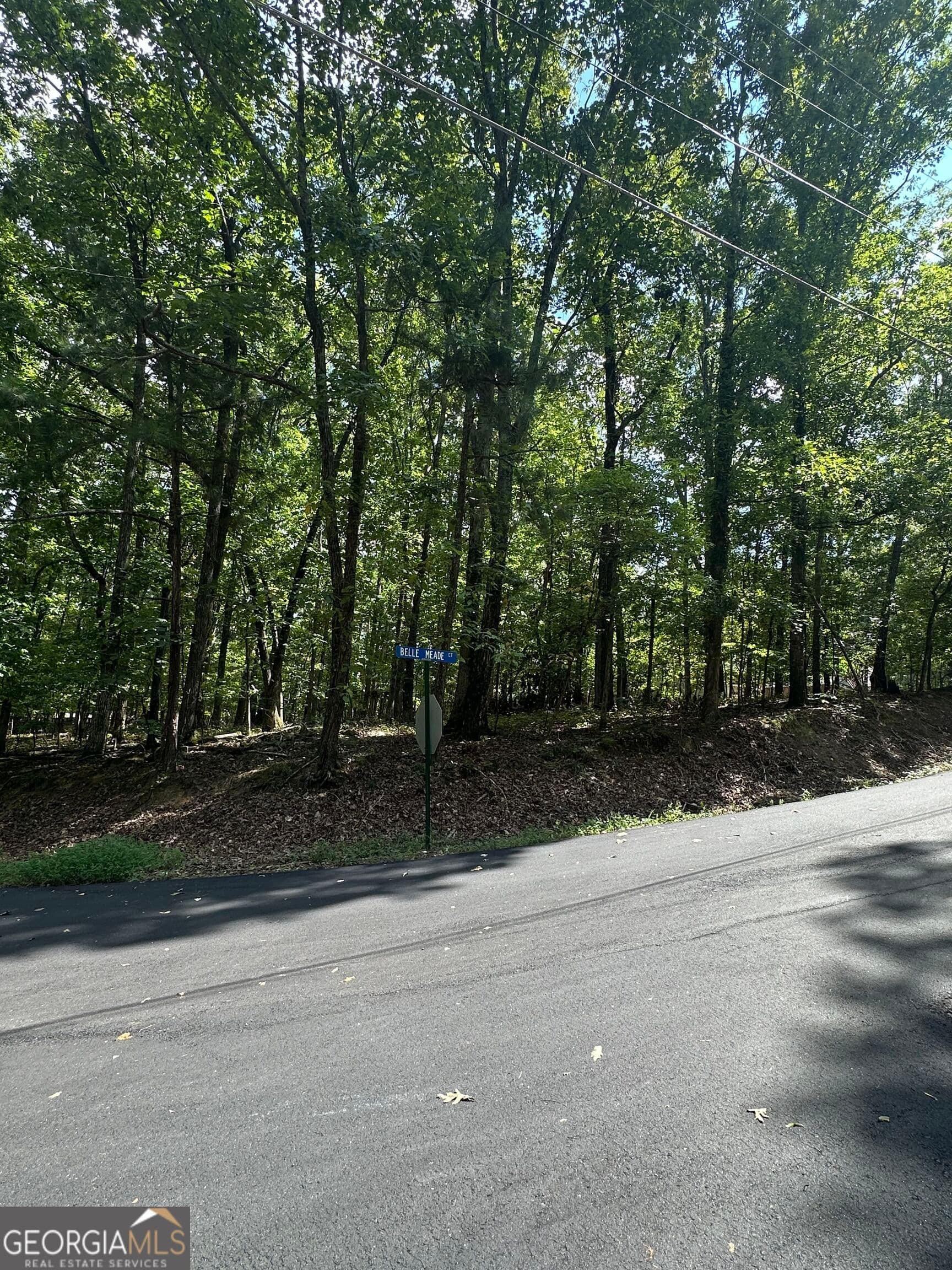 residential lot for sale at 6034 Belle Meade Court, Villa Rica, GA 30180 — photo 5