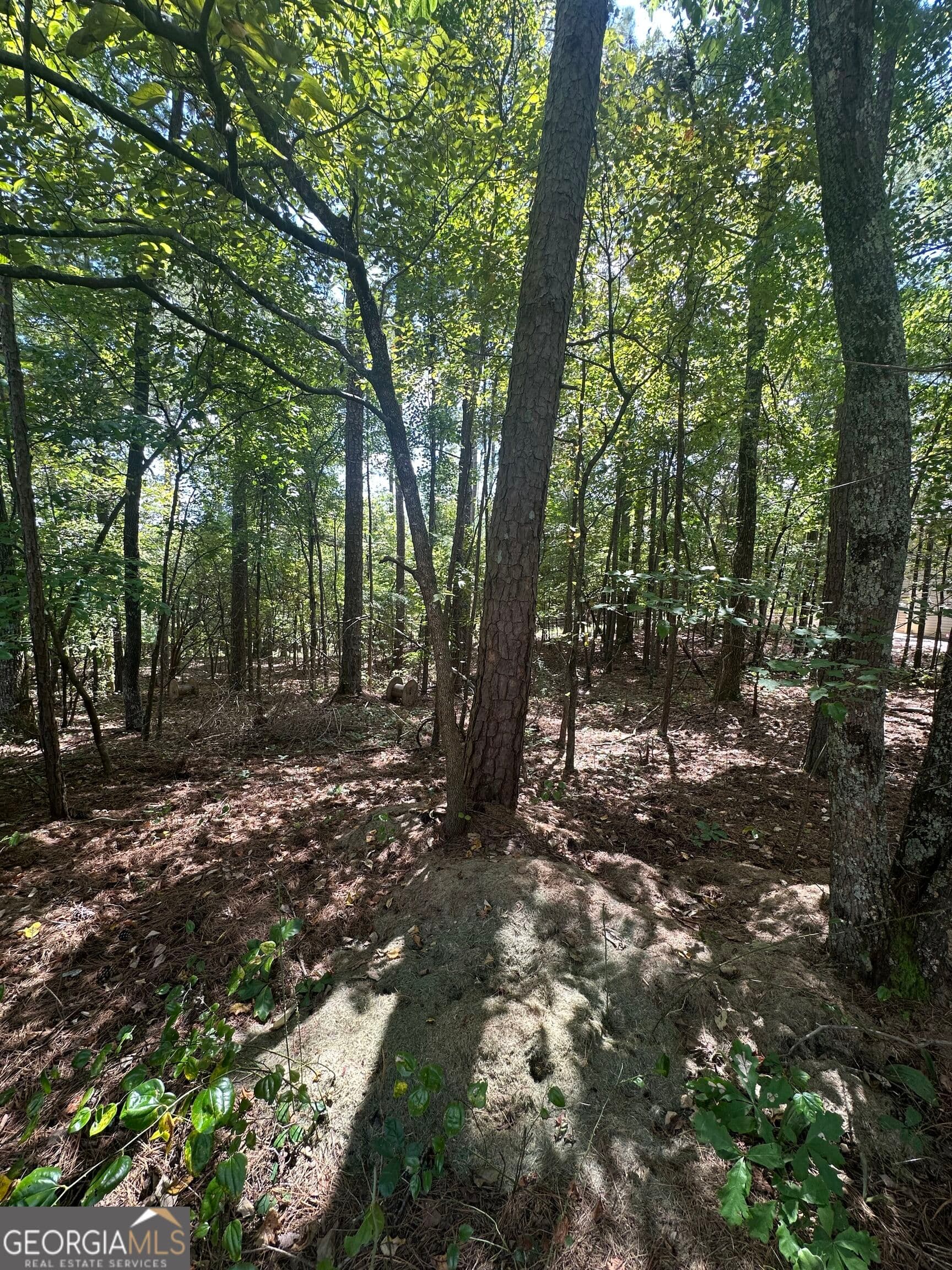 residential lot for sale at 6034 Belle Meade Court, Villa Rica, GA 30180 — photo 4