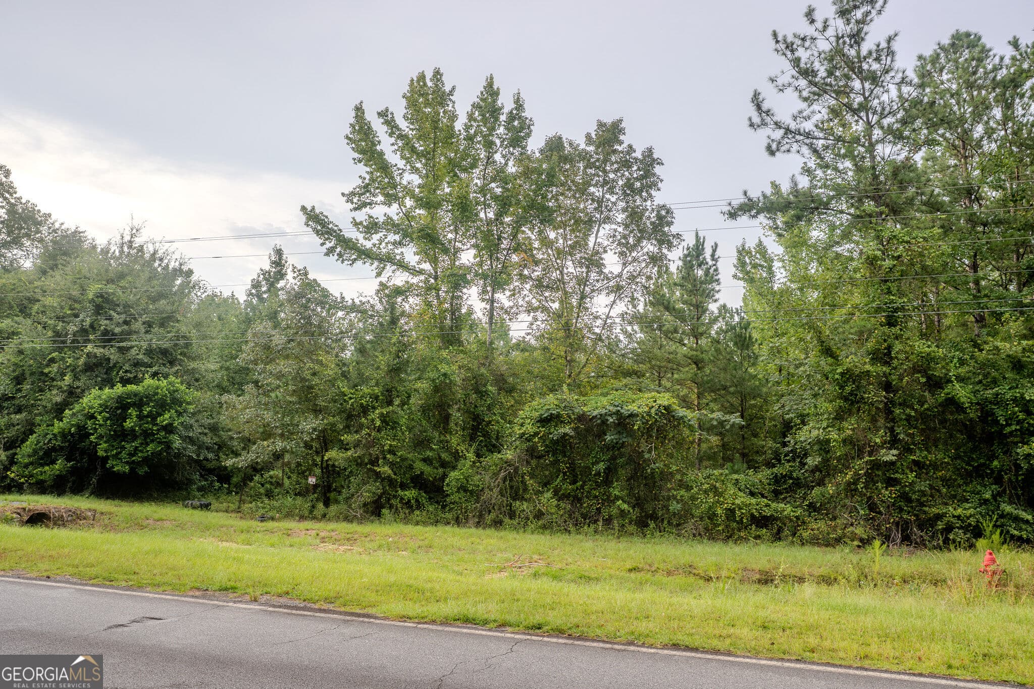 residential lot for sale at 3825 Masseyville Road, Macon, GA 31217 — photo 2