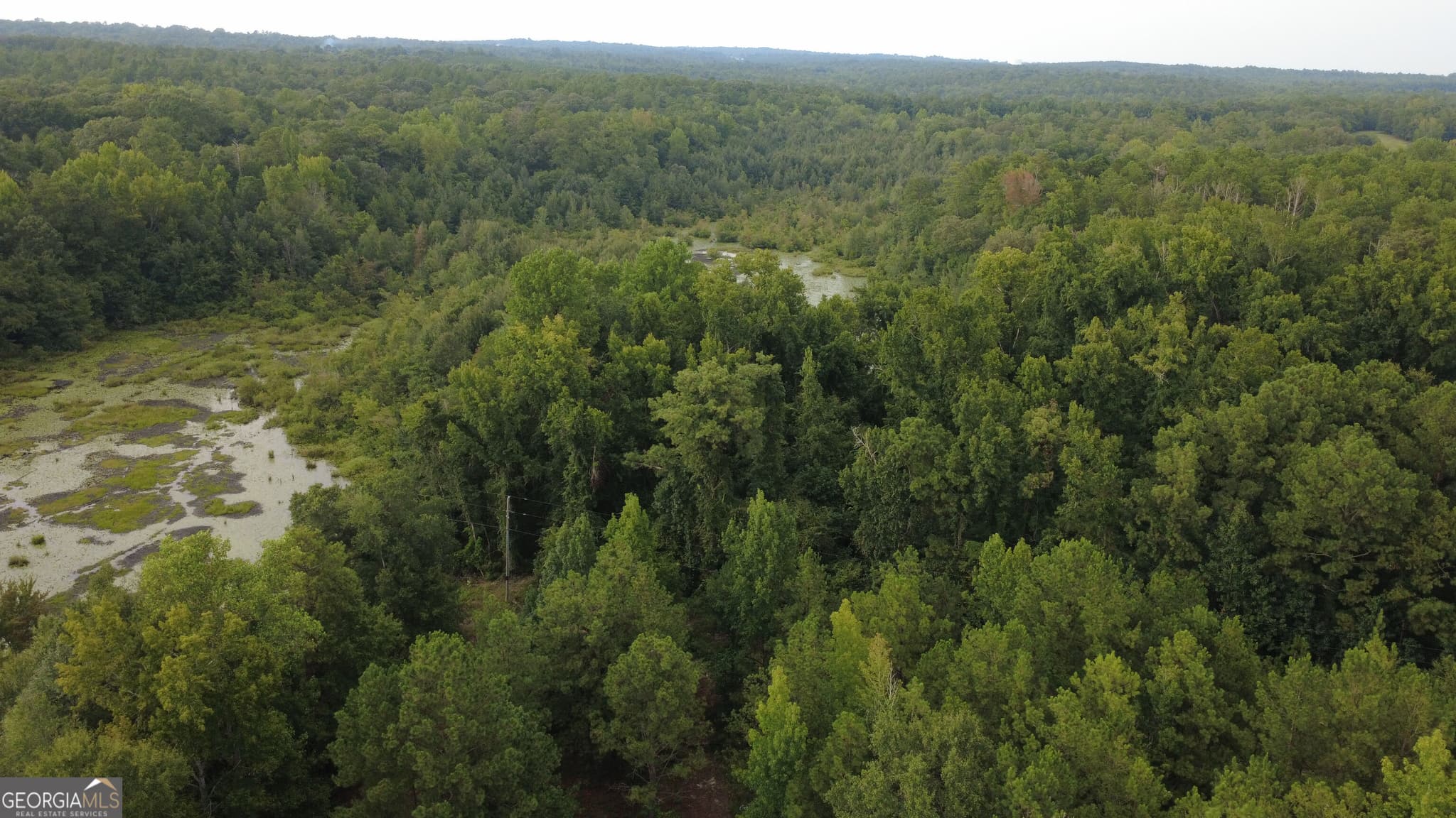 residential lot for sale at 3825 Masseyville Road, Macon, GA 31217 — photo 6