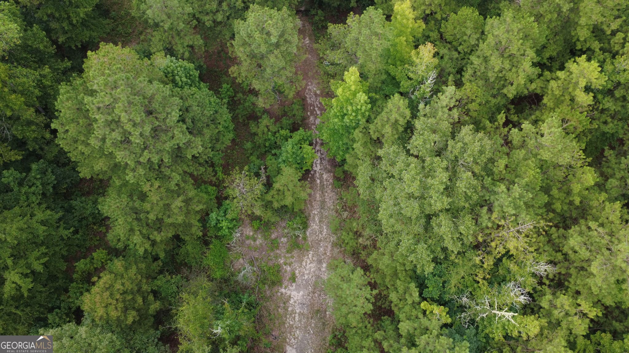 residential lot for sale at 3825 Masseyville Road, Macon, GA 31217 — photo 5