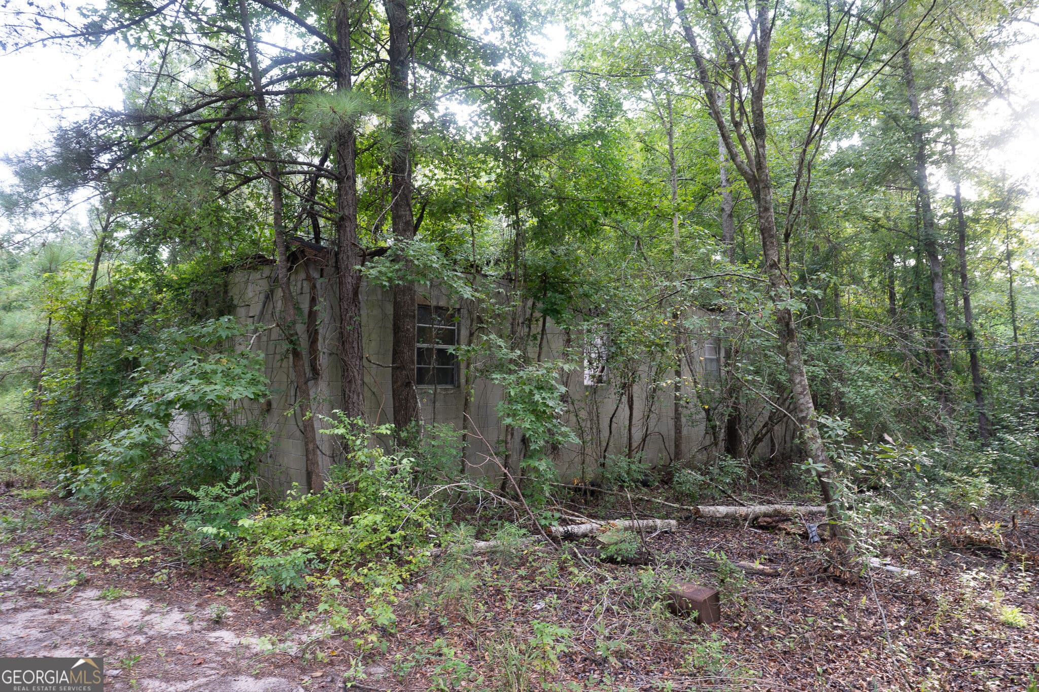 residential lot for sale at 3825 Masseyville Road, Macon, GA 31217 — photo 9