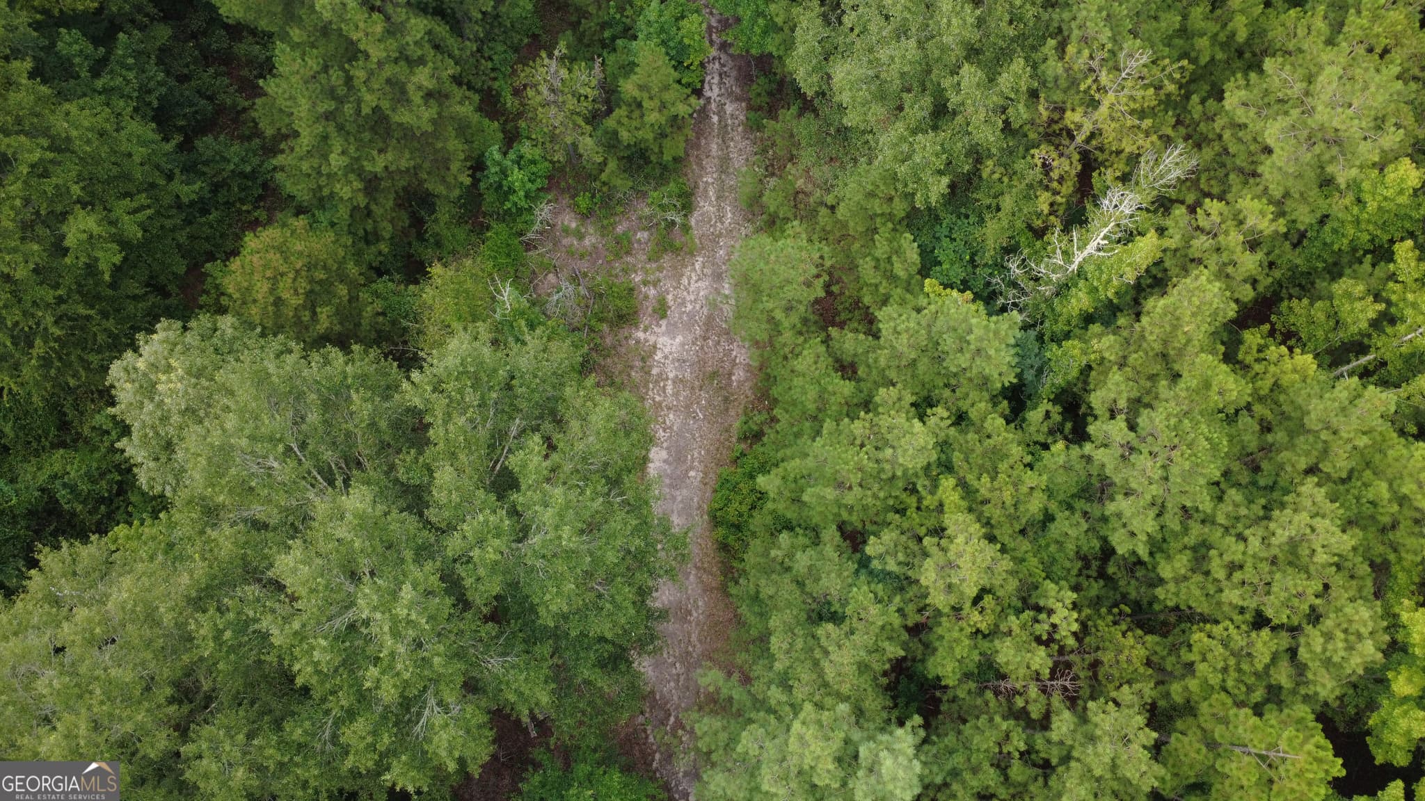 residential lot for sale at 3825 Masseyville Road, Macon, GA 31217 — photo 4
