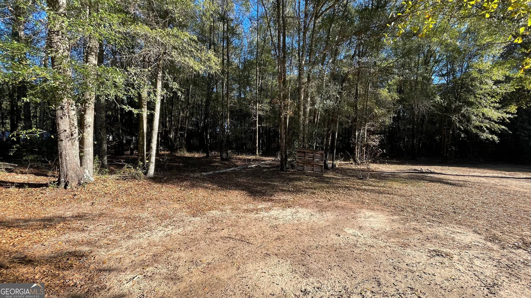 4 bedroom, 3 bathroom, 2,160 sq ft single family residence for sale at 21 Ruby Road, Hawkinsville, GA 31036 — photo 3