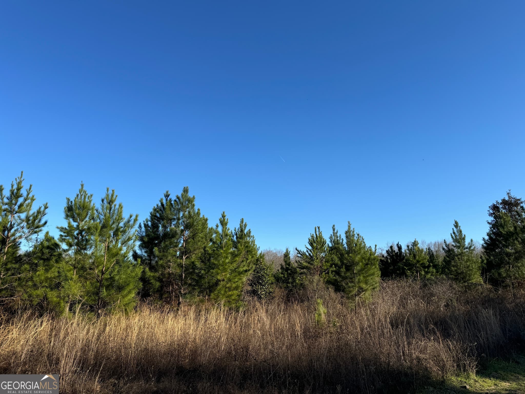 agriculture sold at 003 Sealy Wells Road, Gordon, AL 36343