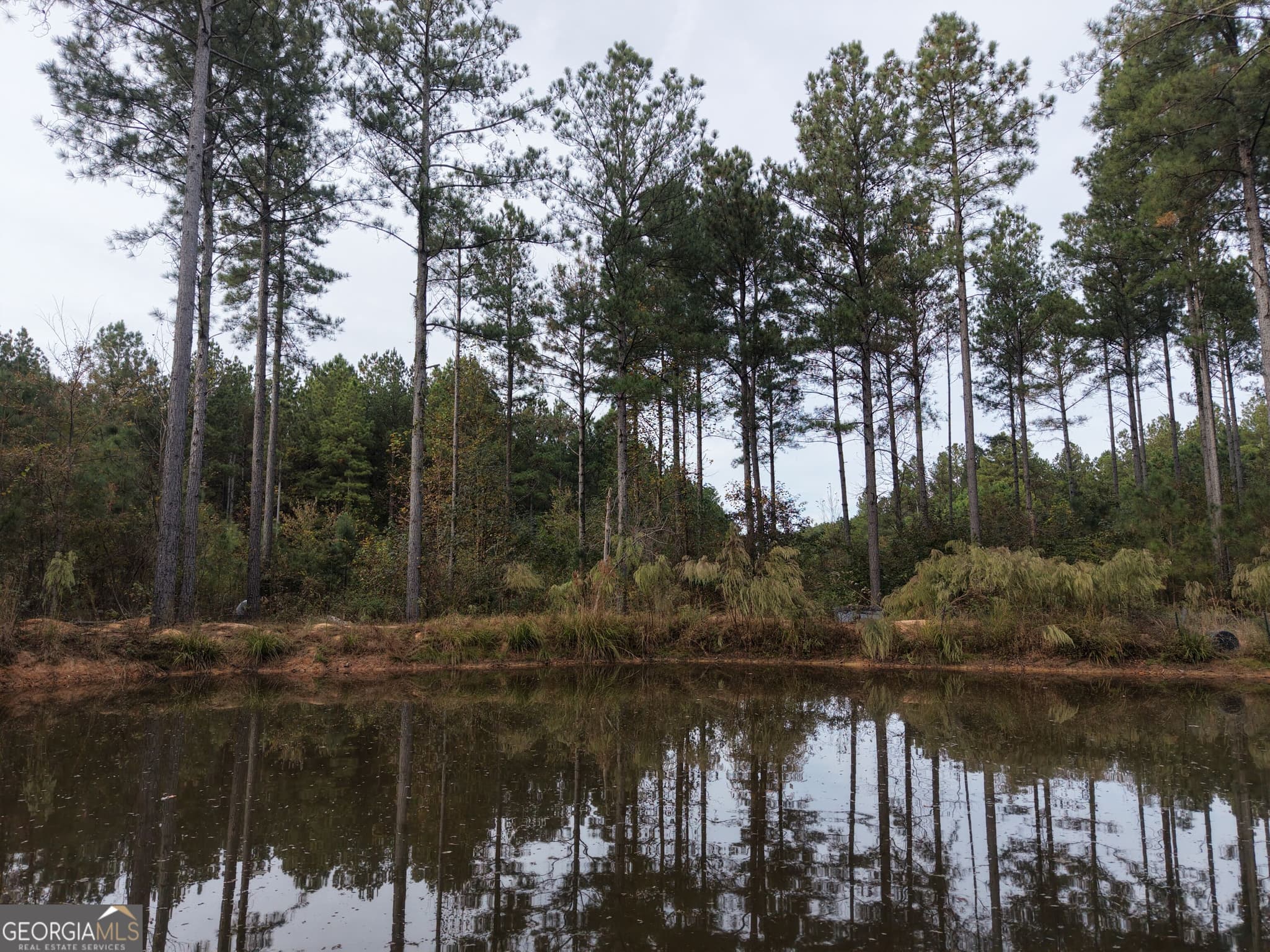 agriculture for sale at 7630 S 225 Highway, Chatsworth, GA 30705 — photo 6