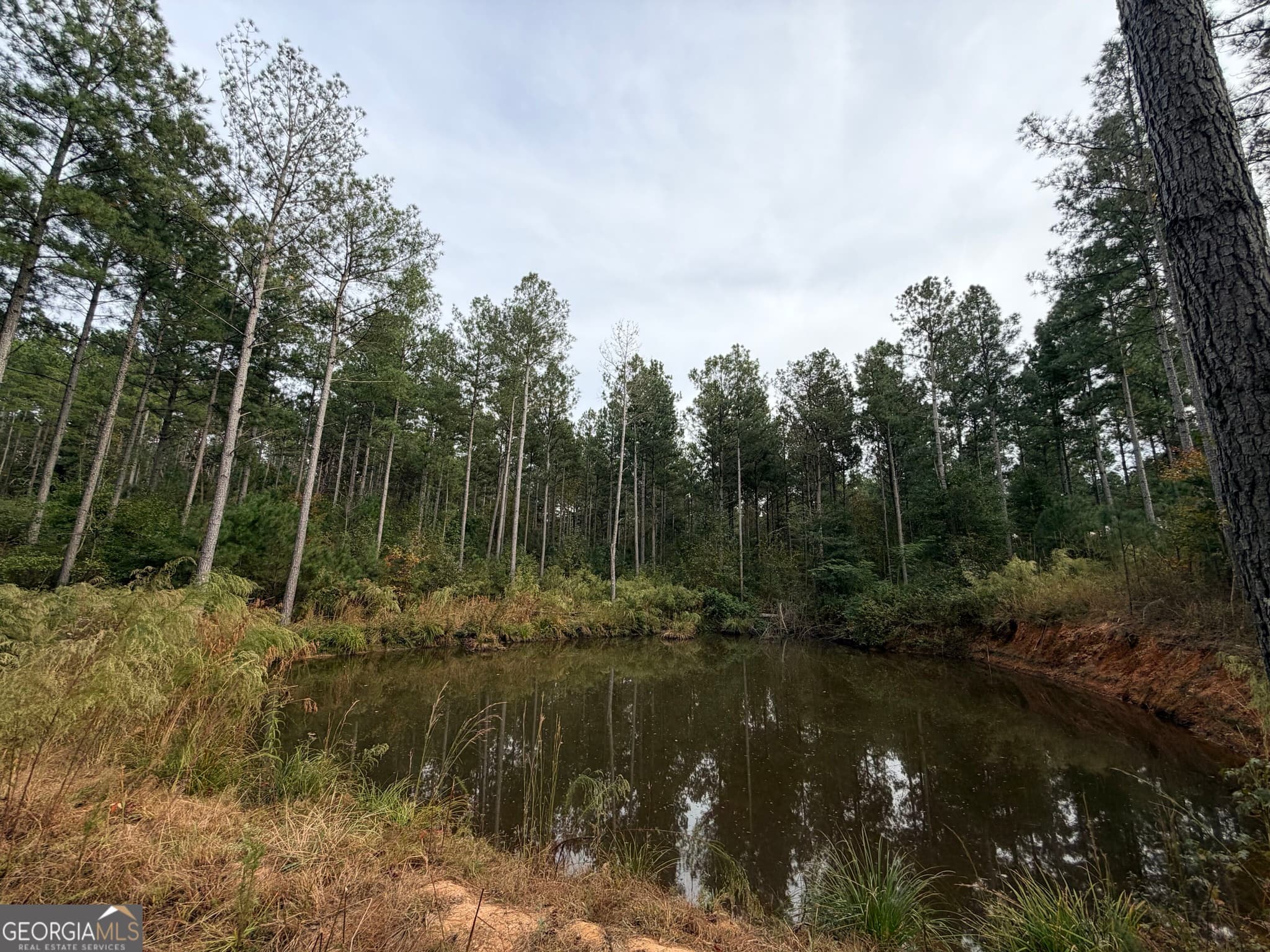 agriculture for sale at 7630 S 225 Highway, Chatsworth, GA 30705 — photo 7