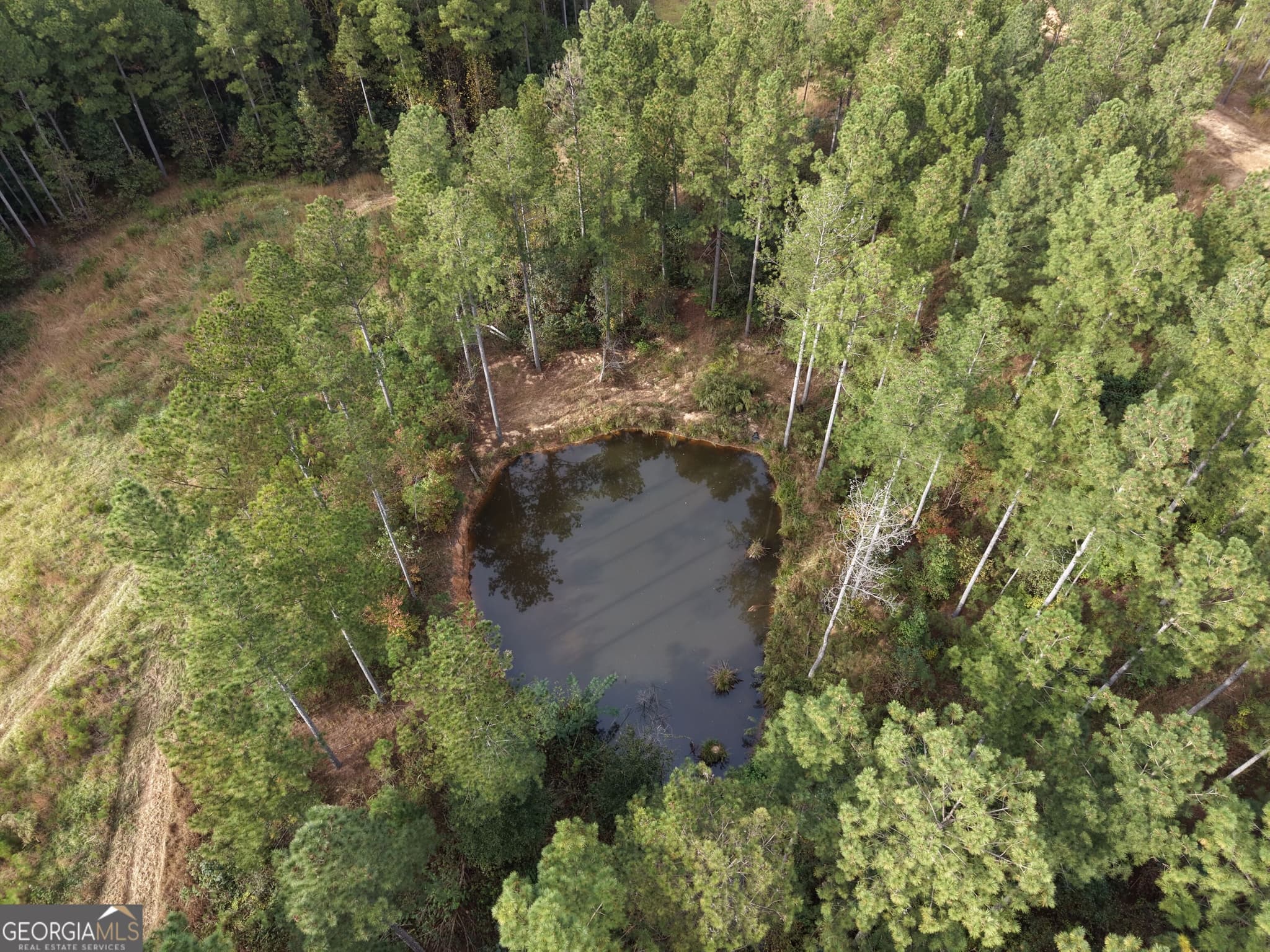 agriculture for sale at 7630 S 225 Highway, Chatsworth, GA 30705 — photo 3