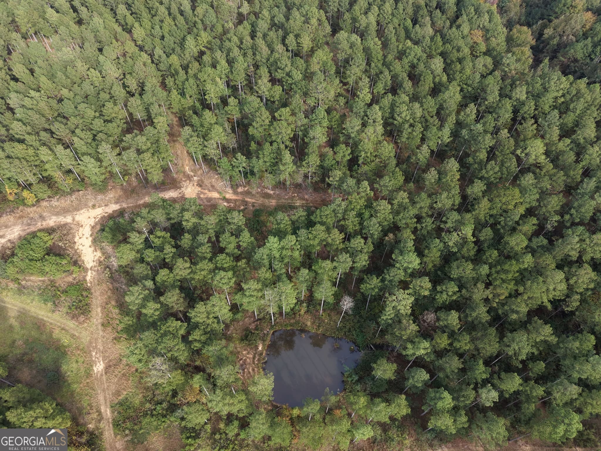 agriculture for sale at 7630 S 225 Highway, Chatsworth, GA 30705 — photo 4
