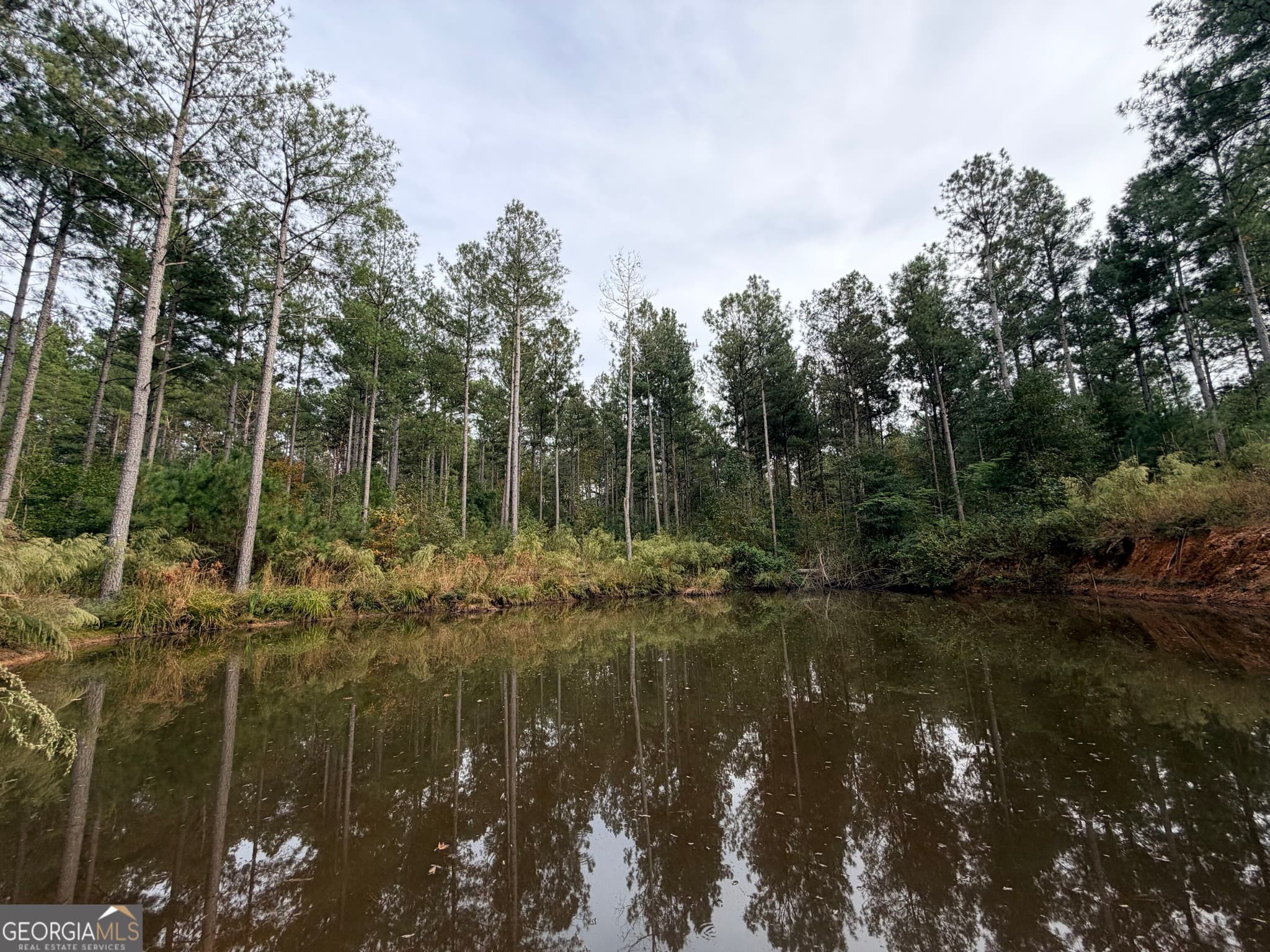 agriculture for sale at 7630 S 225 Highway, Chatsworth, GA 30705 — photo 8