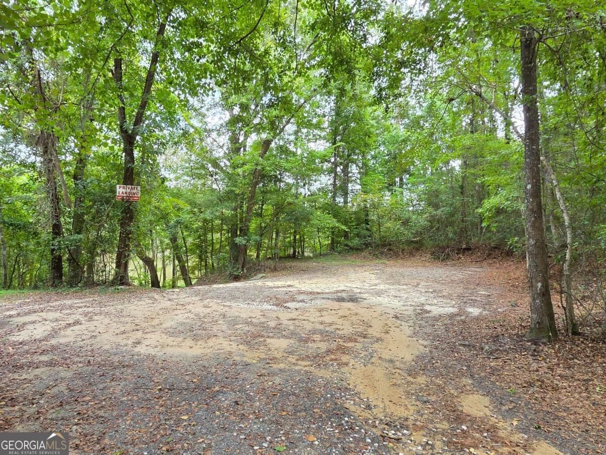 residential lot for sale at LOT 5 Seines Landing Drive, Springfield, GA 31329 — photo 7