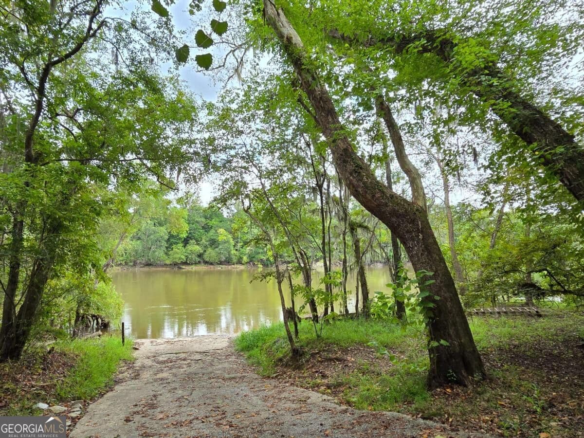 residential lot for sale at LOT 5 Seines Landing Drive, Springfield, GA 31329 — photo 9